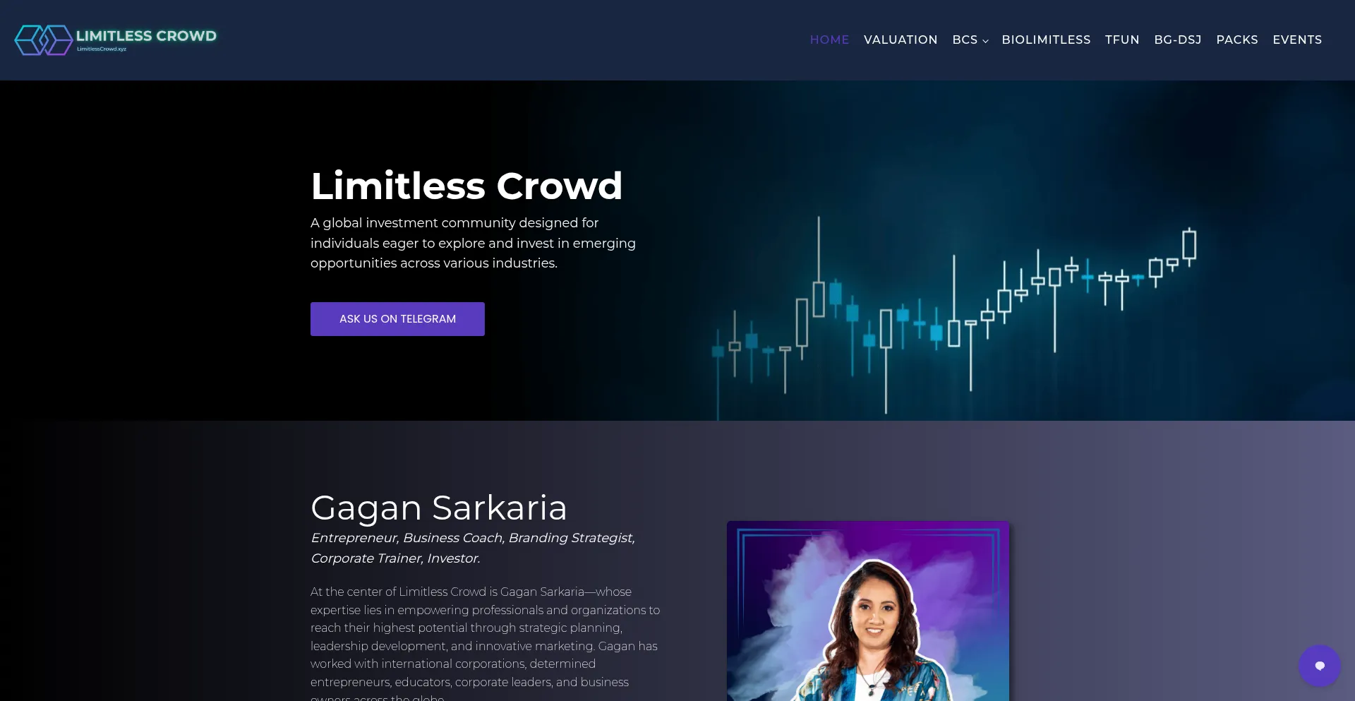 Website screenshot of Limitlesscrowd.xyz