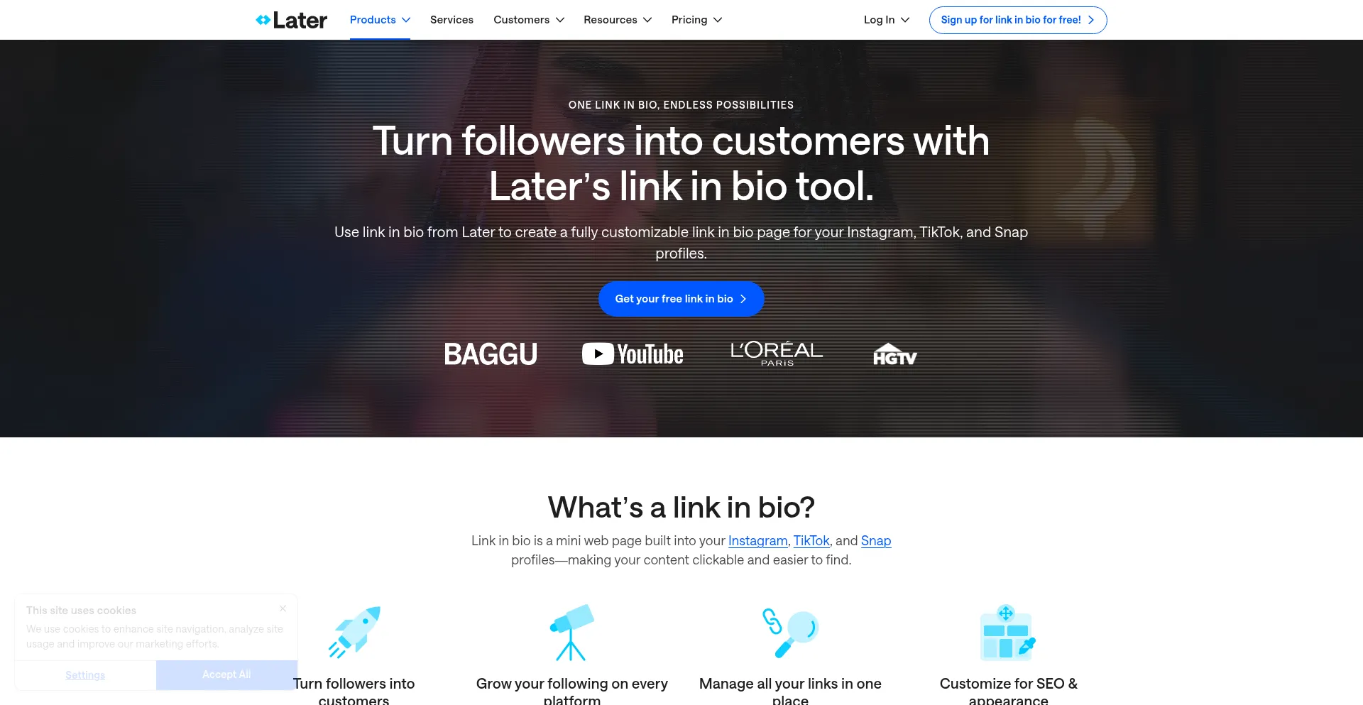Website screenshot of Linkin.bio