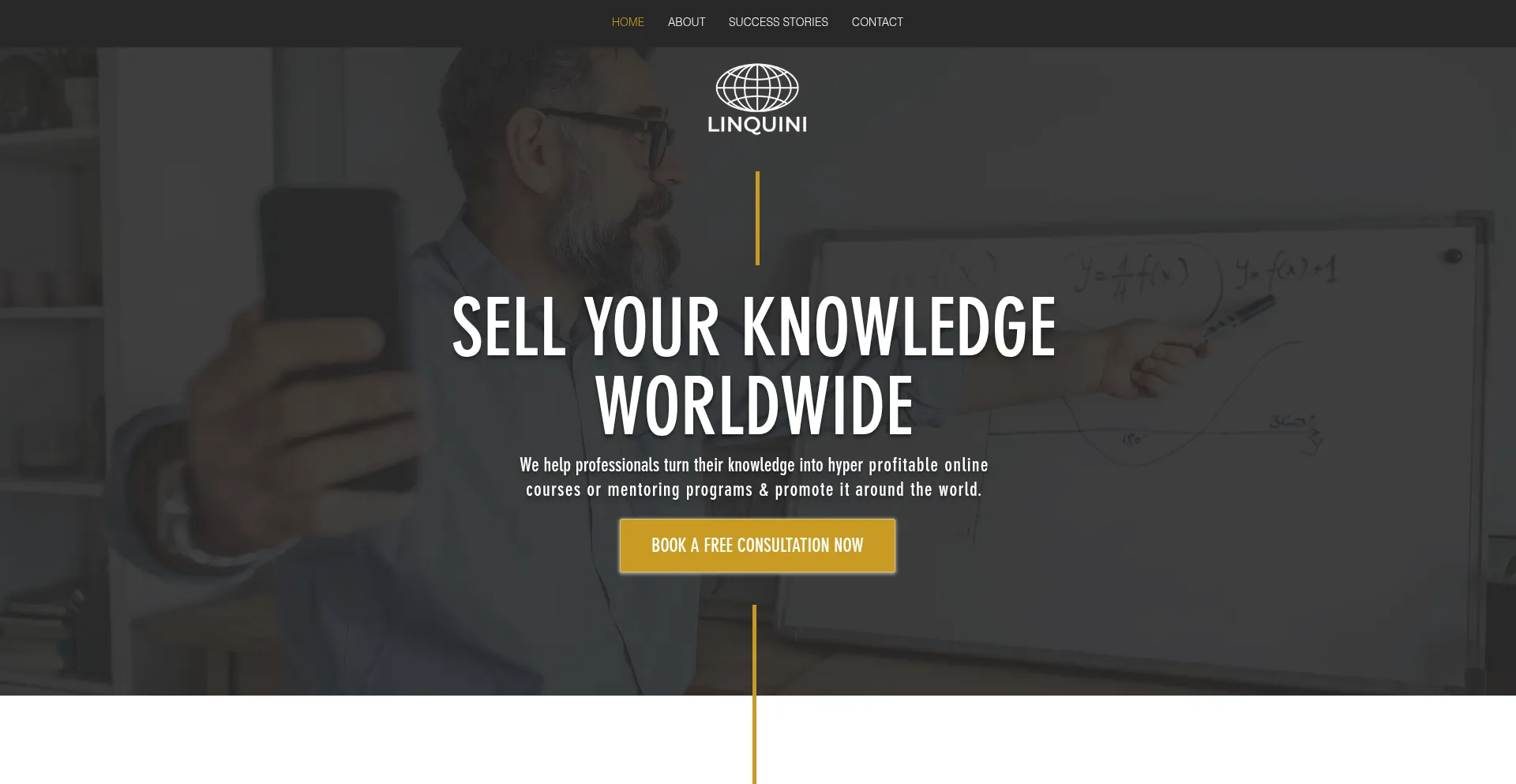 Linquini.com Screenshot
