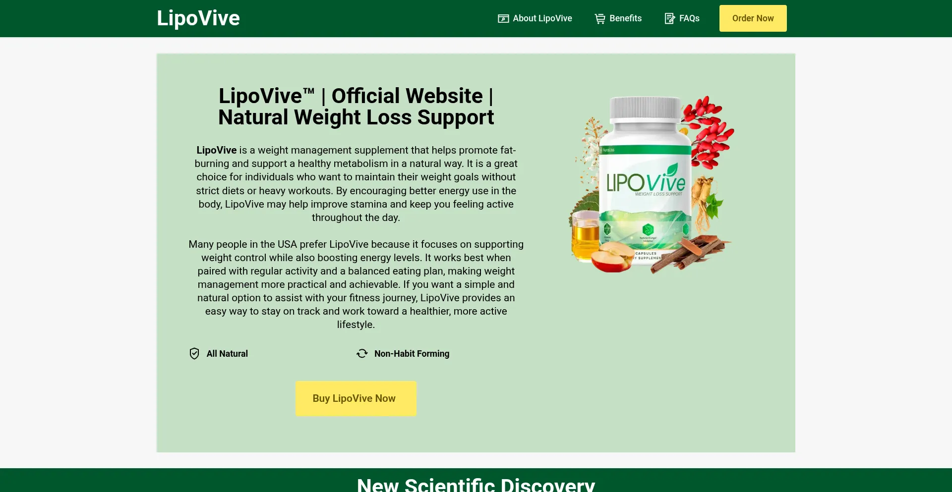 Lipovivi.com Screenshot