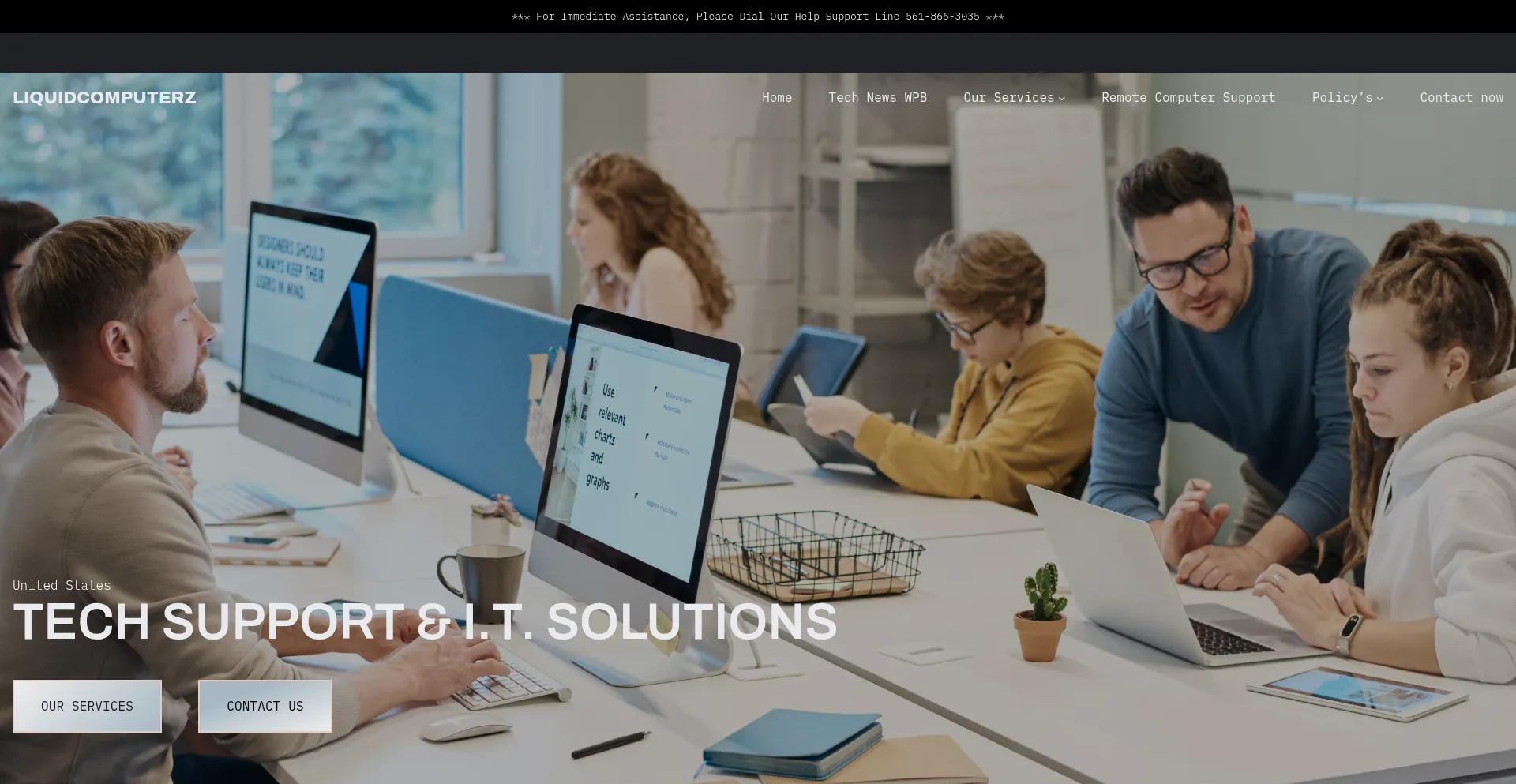 Liquidcomputerz.com Screenshot