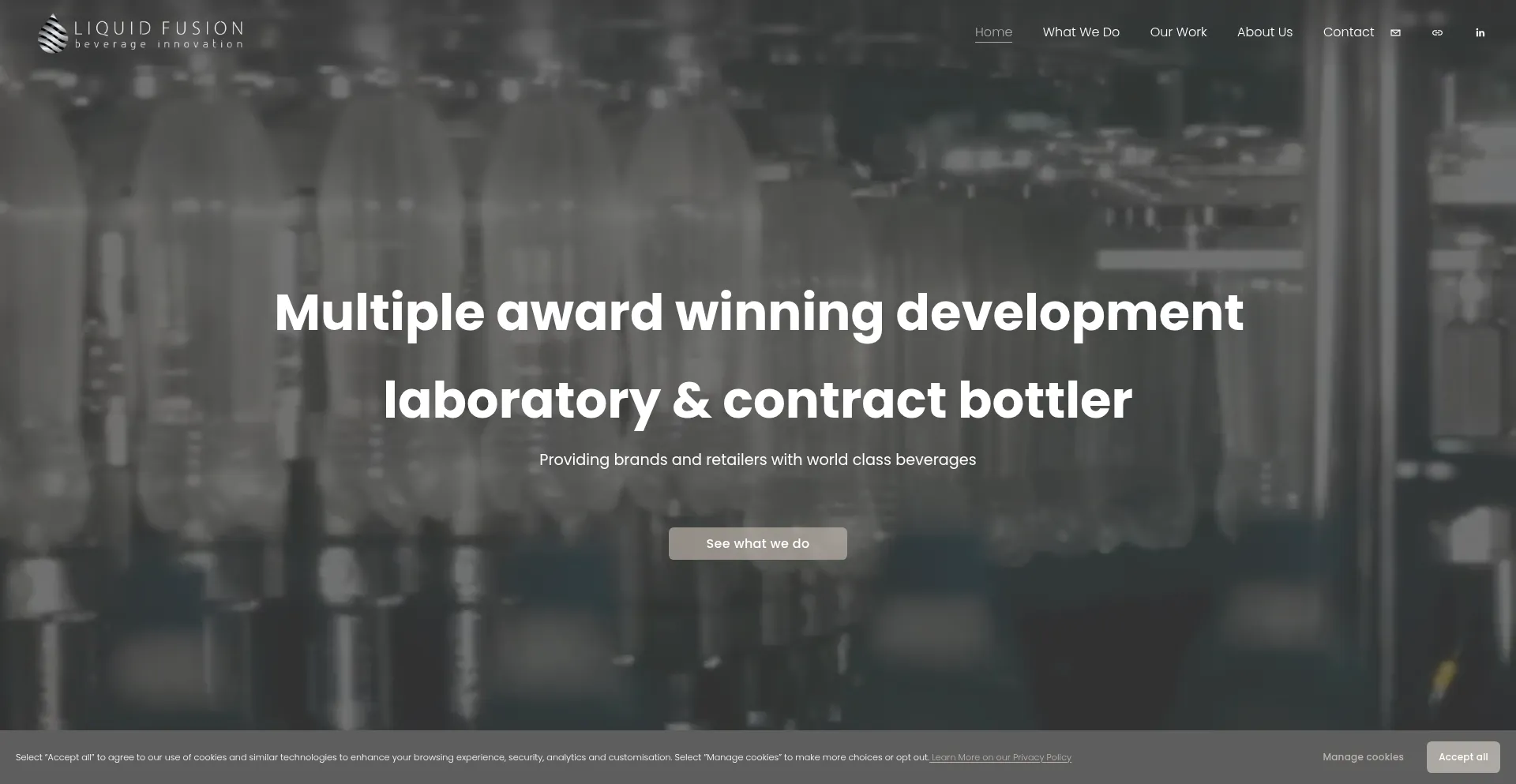 Website screenshot of Liquidfusiongroup.com