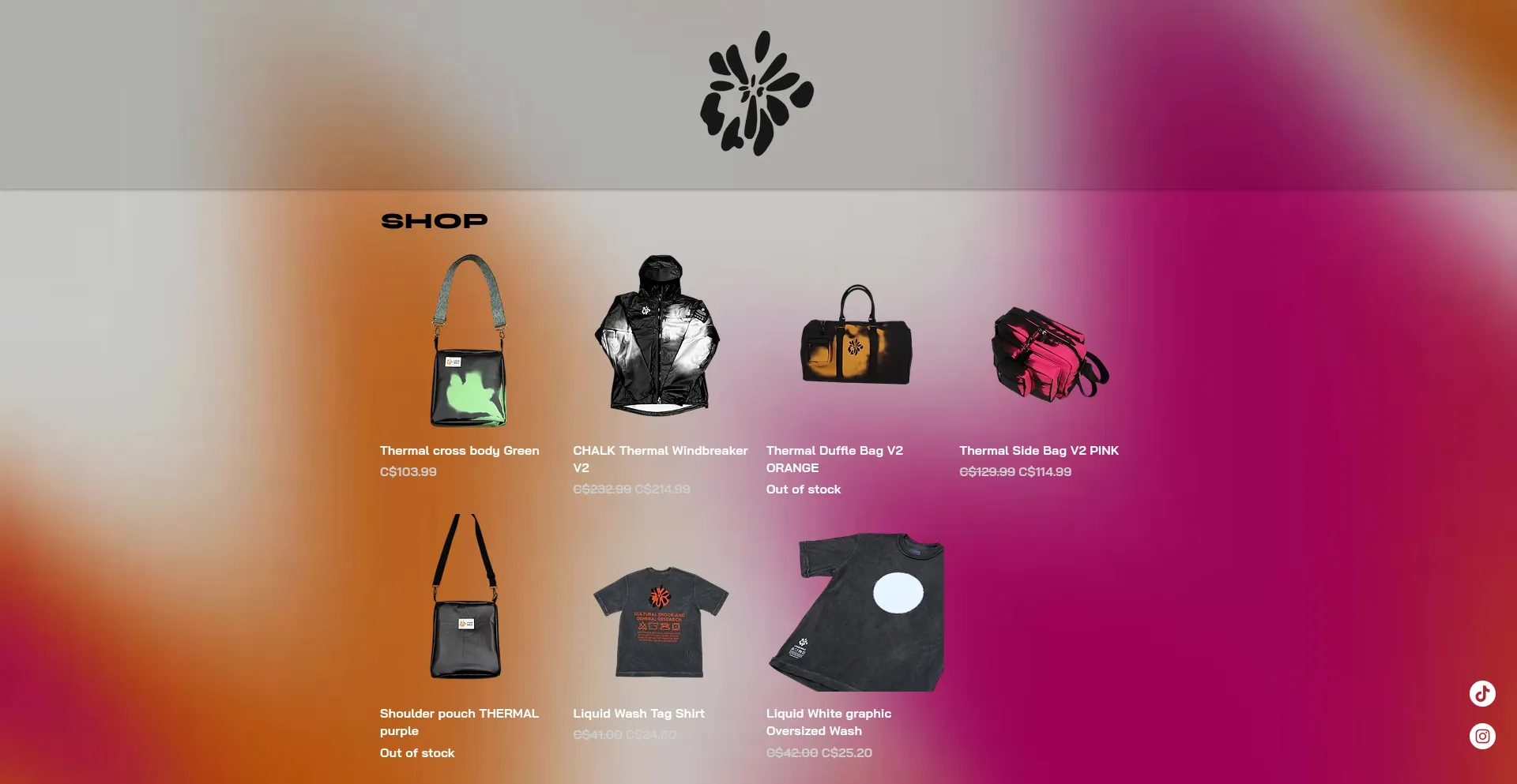 Website screenshot of Liquidwrld.com