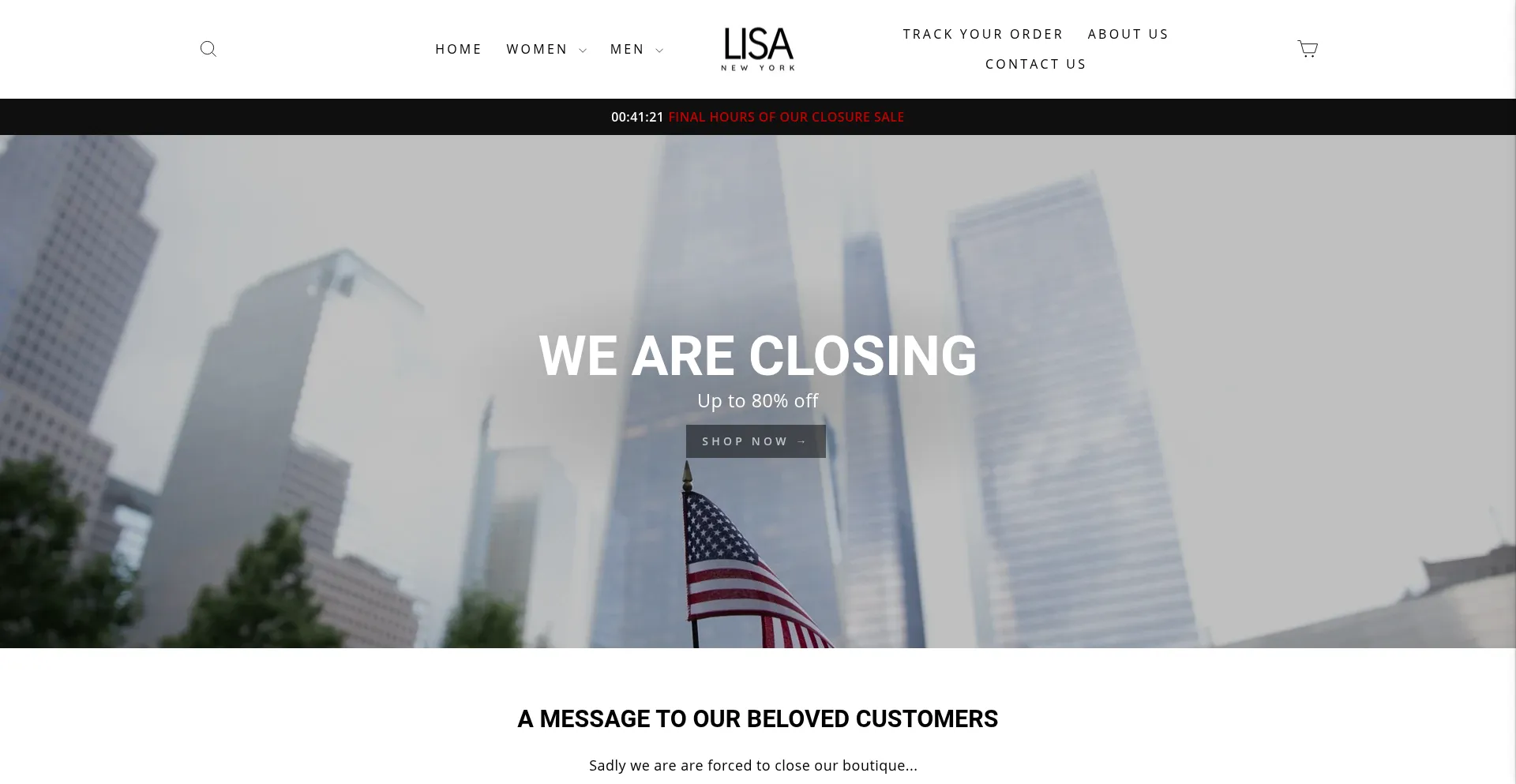 Website screenshot of Lisa-newyork.com