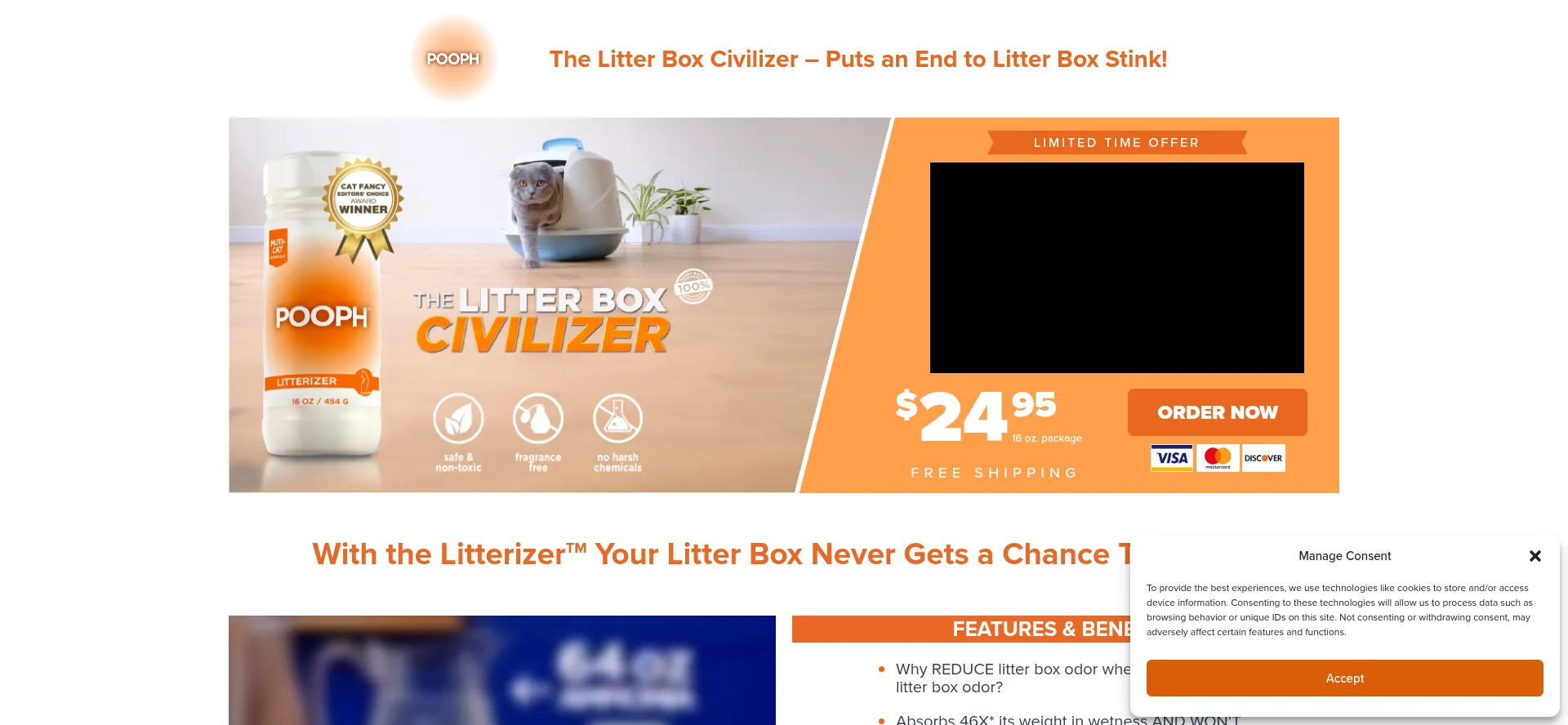 Website screenshot of Litterizer.com