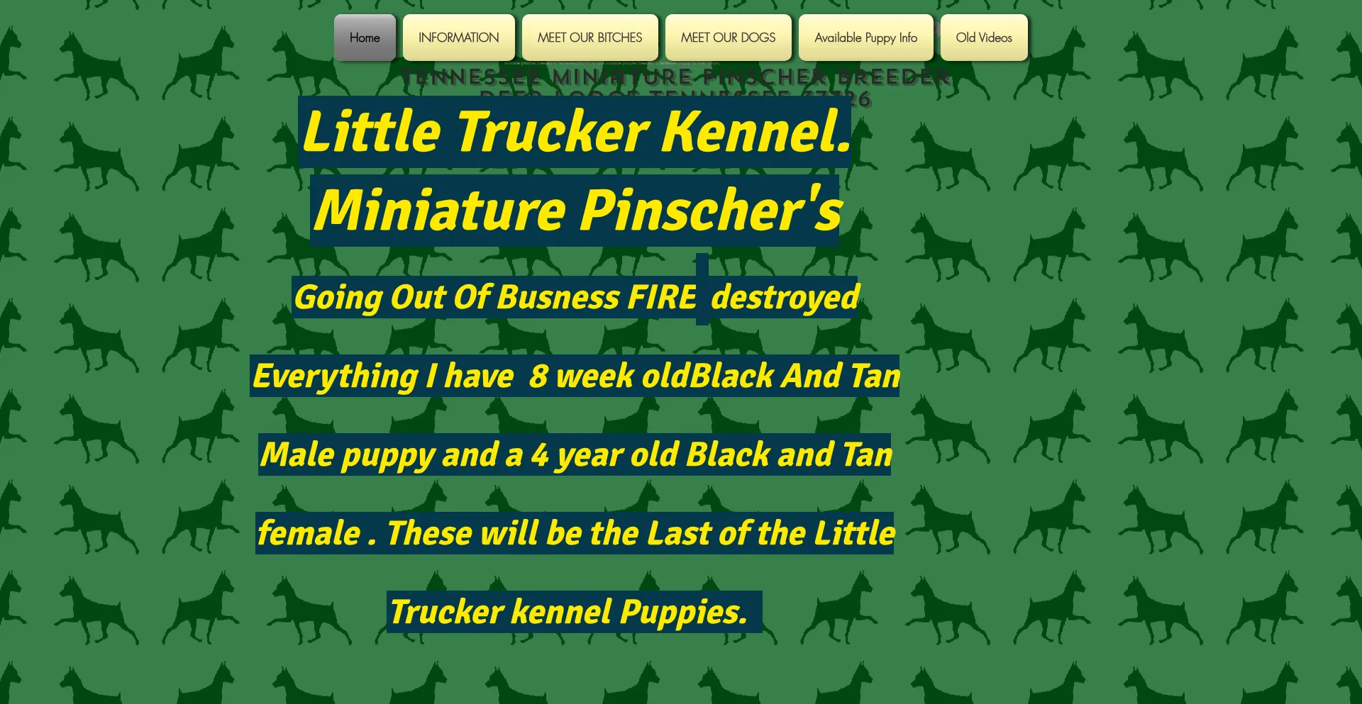 Is Littletruckerkennel.com Safe?