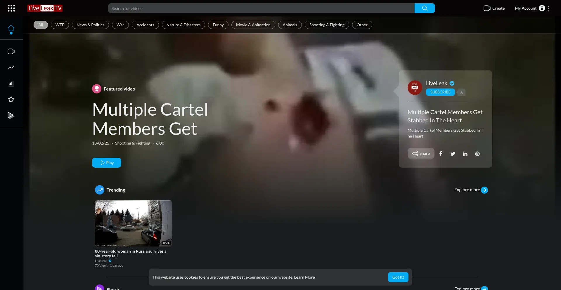 Website screenshot of Liveleak.tv