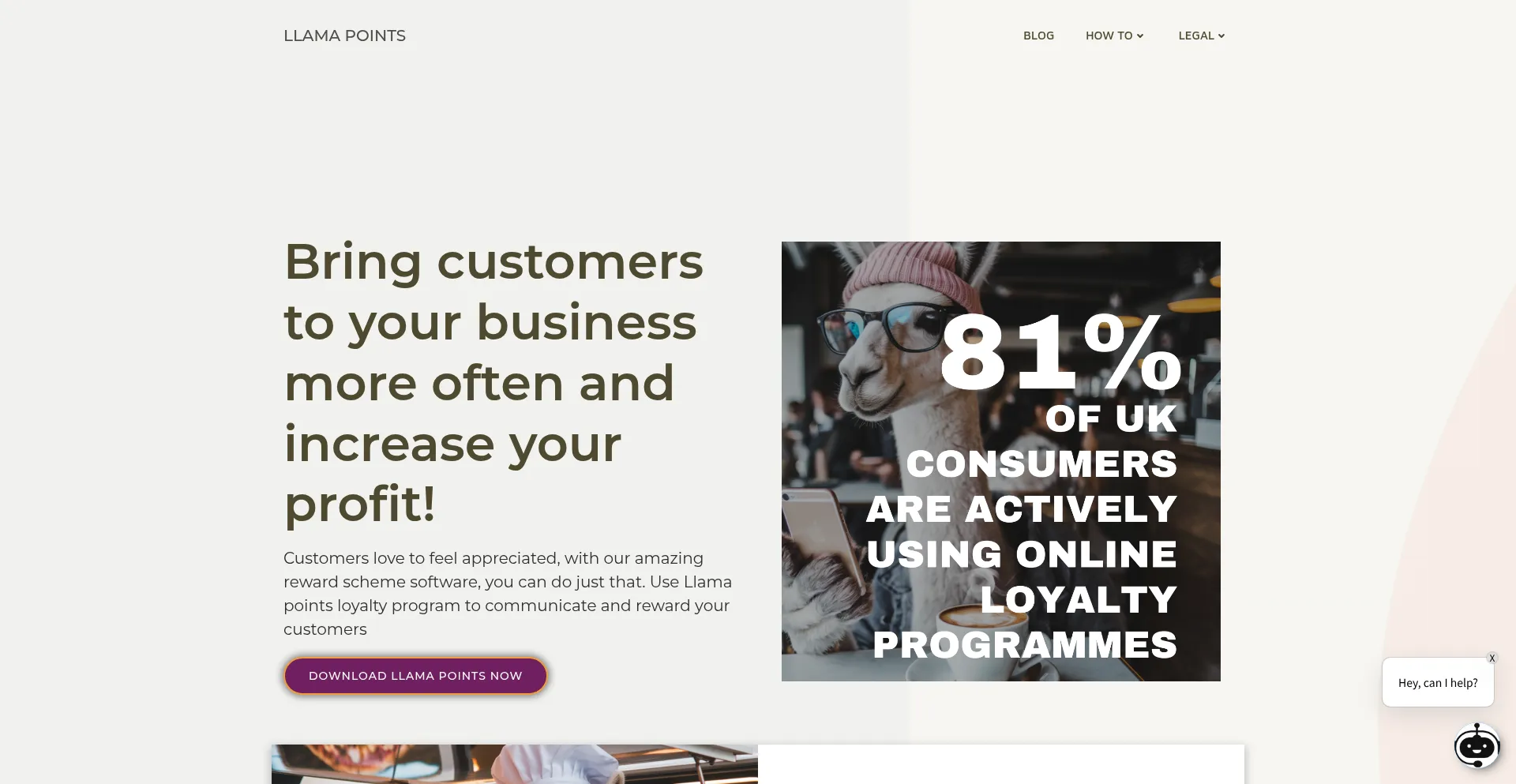 Llamapoints.com