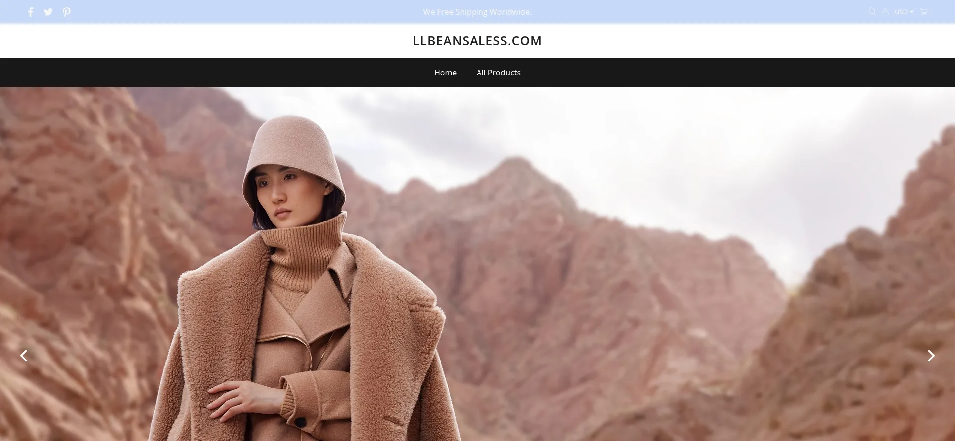 Website screenshot of Llbeansaless.com
