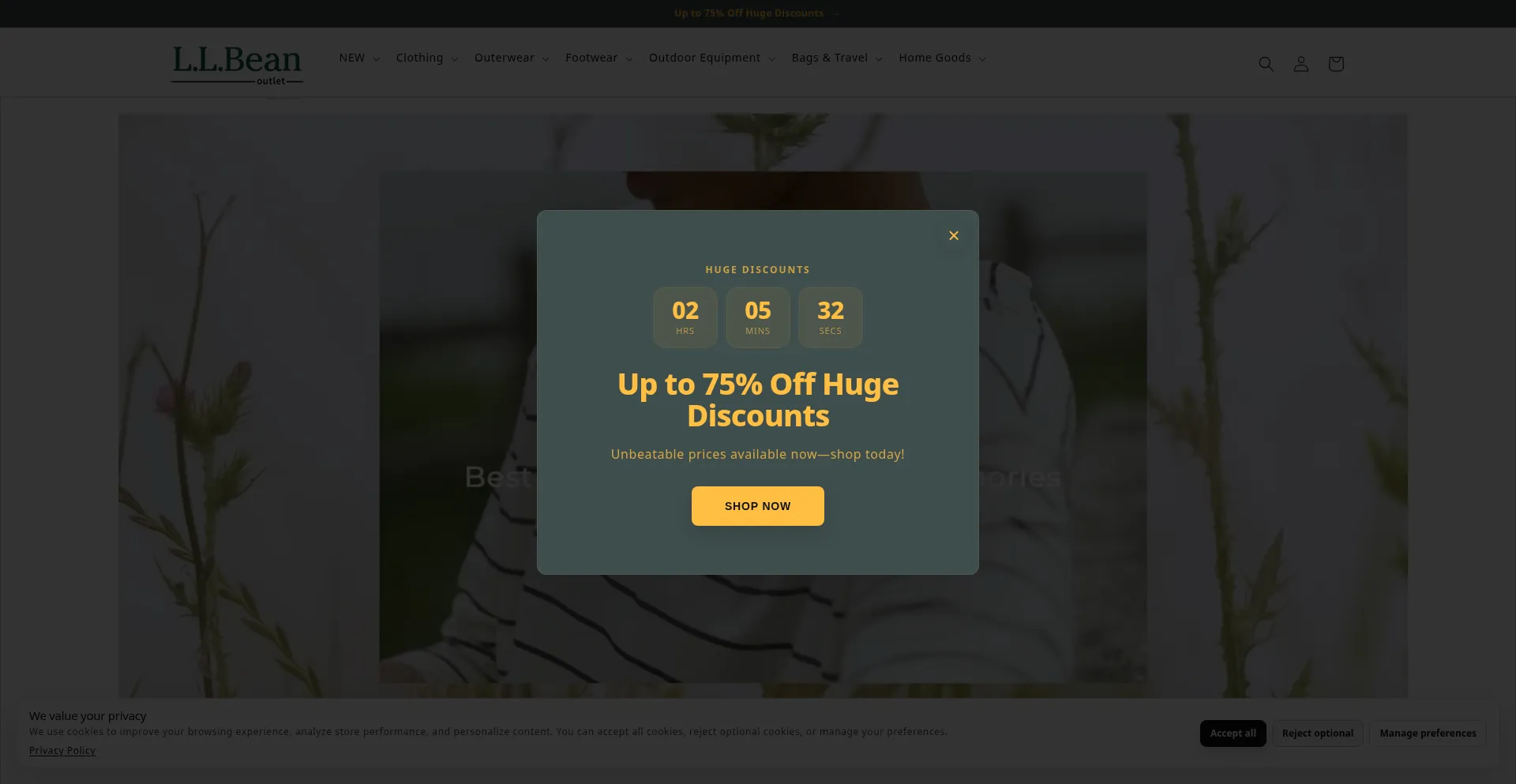 Llbeanssale.com
