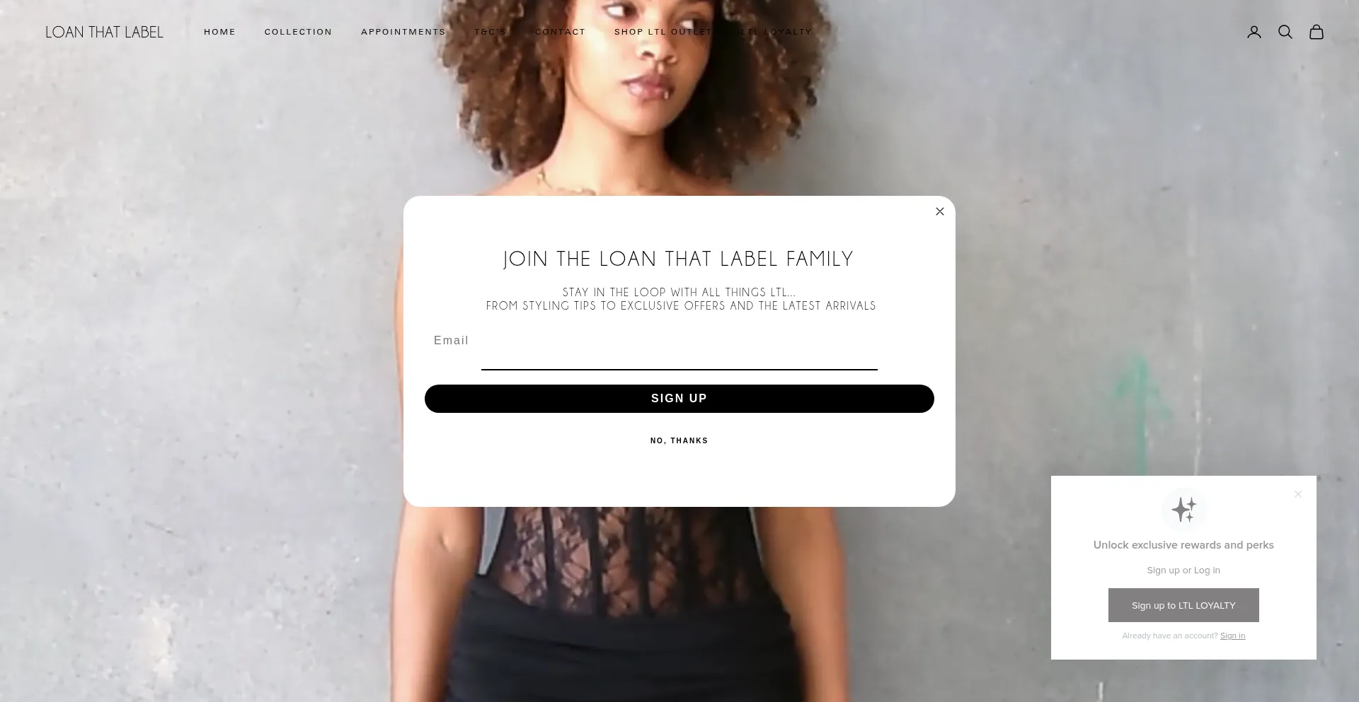 Website screenshot of Loanthatlabel.com