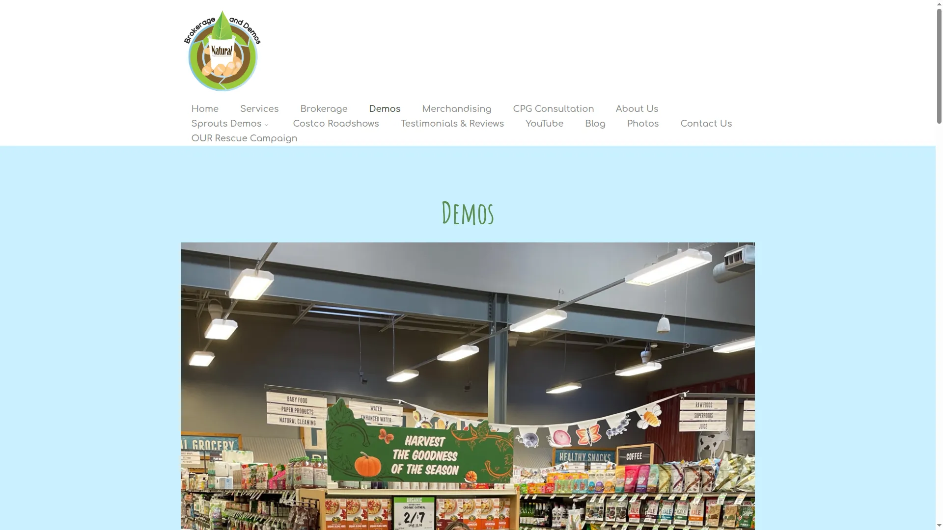 Localdemoservice.com