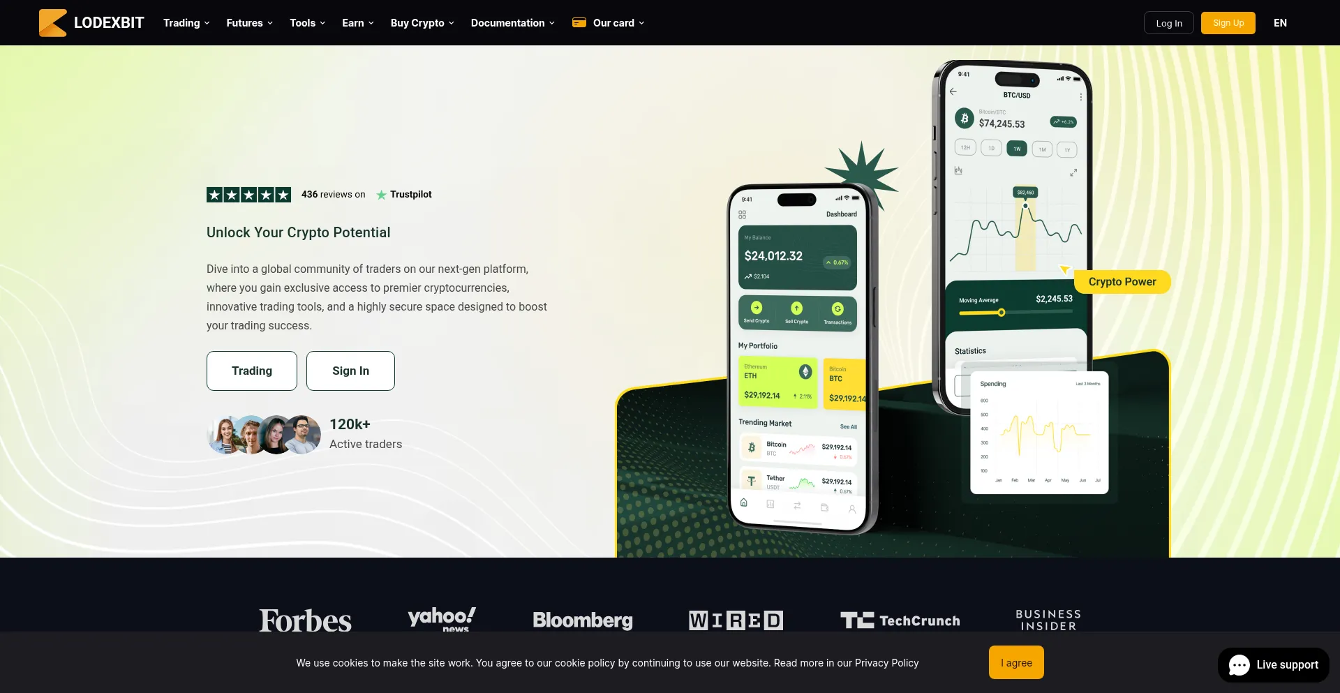 Website screenshot of Lodexbit.com