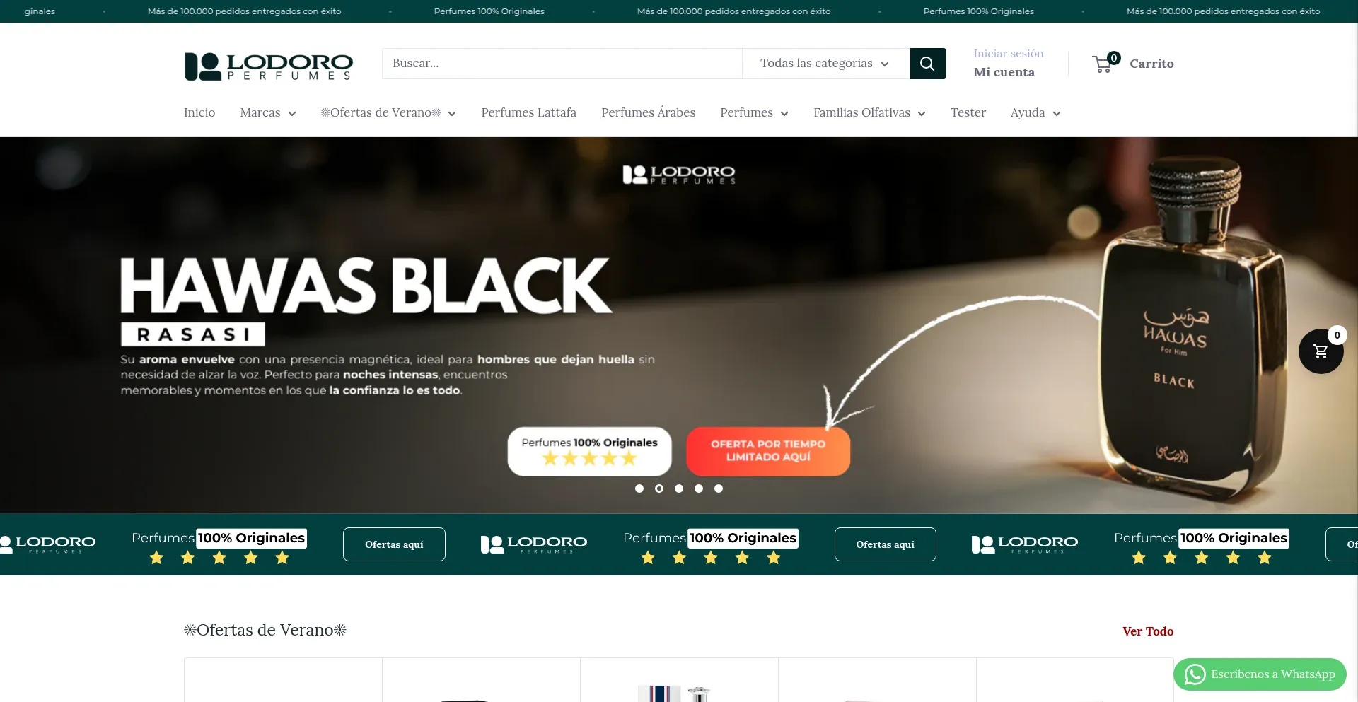 Website screenshot of Lodoro.cl