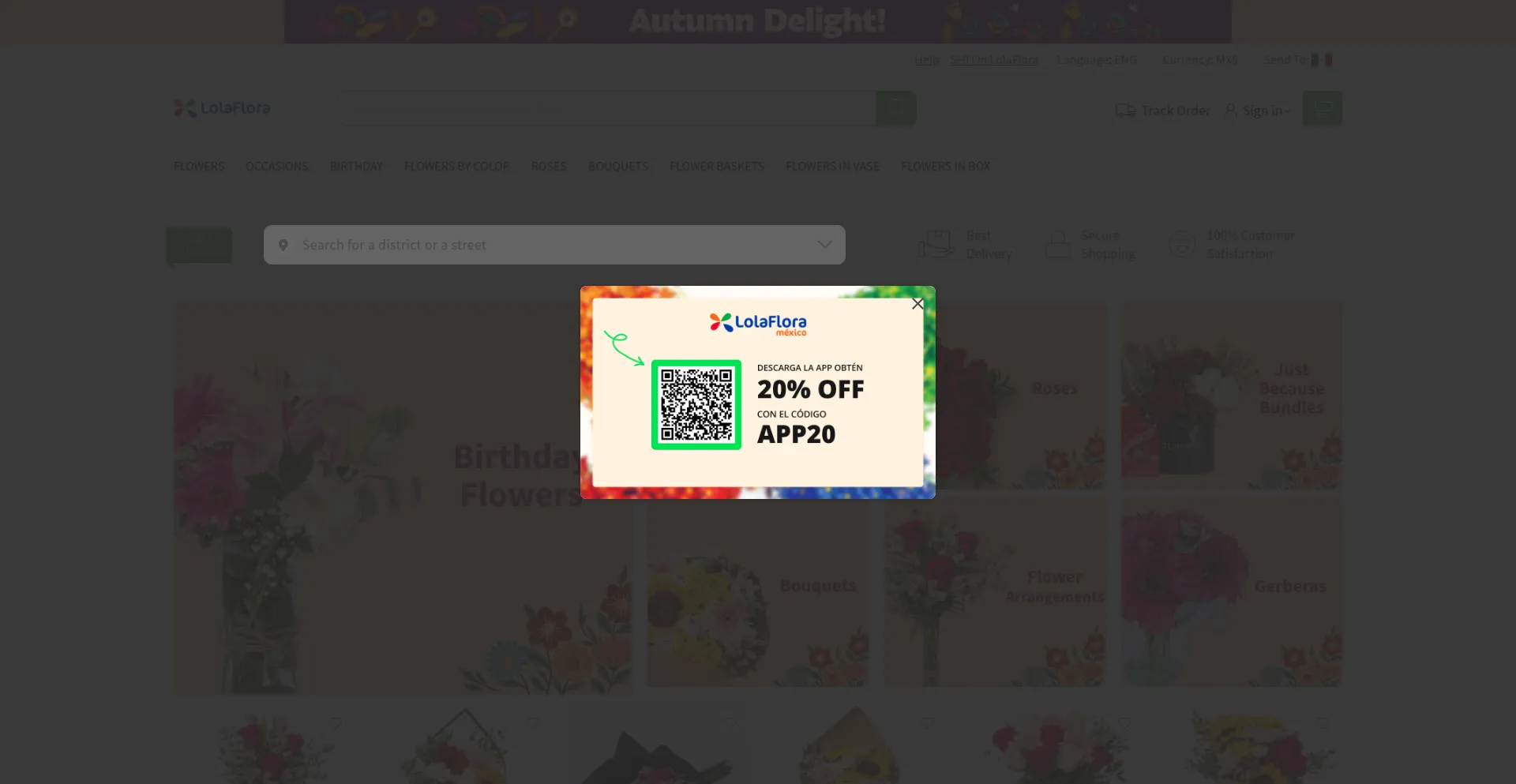 Lolaflora.com Screenshot