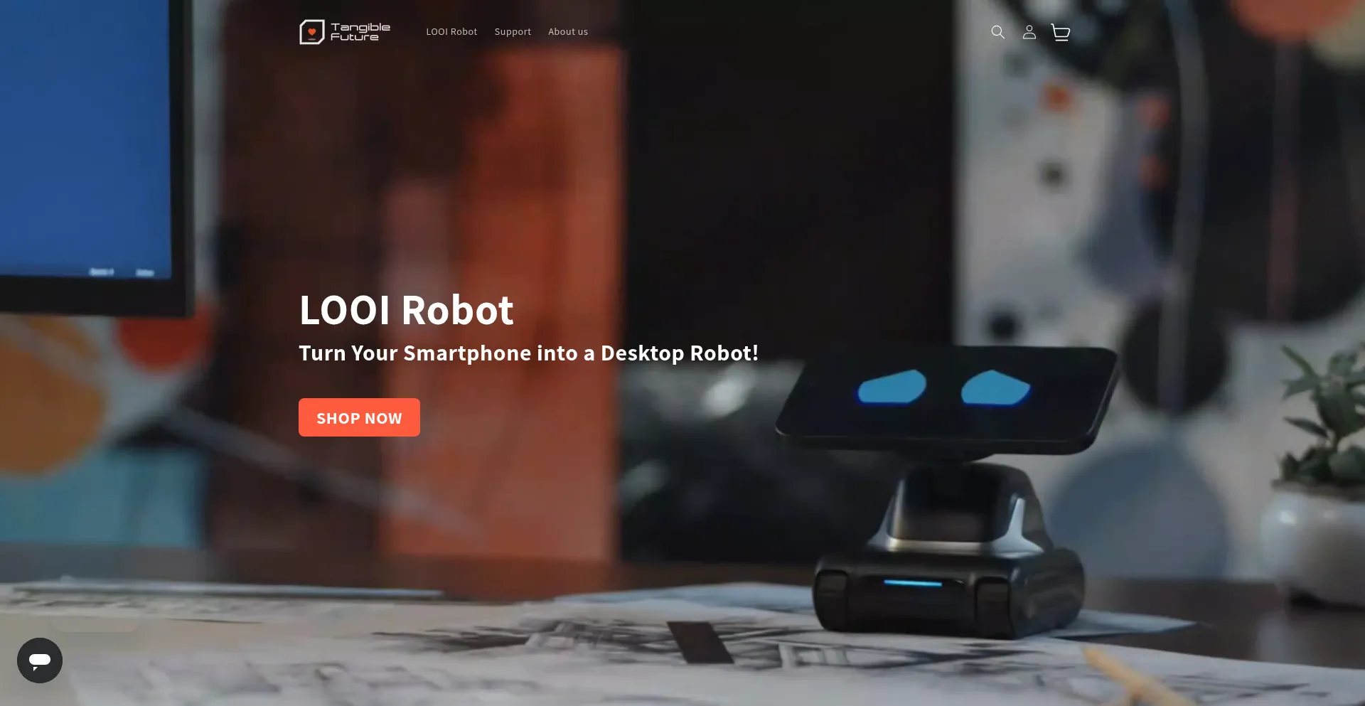 Website screenshot of Looirobot.com