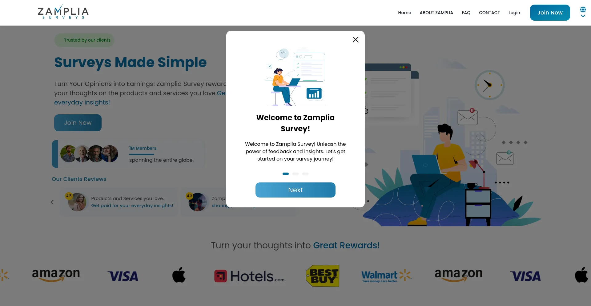 Website screenshot of Loopsurveys.com