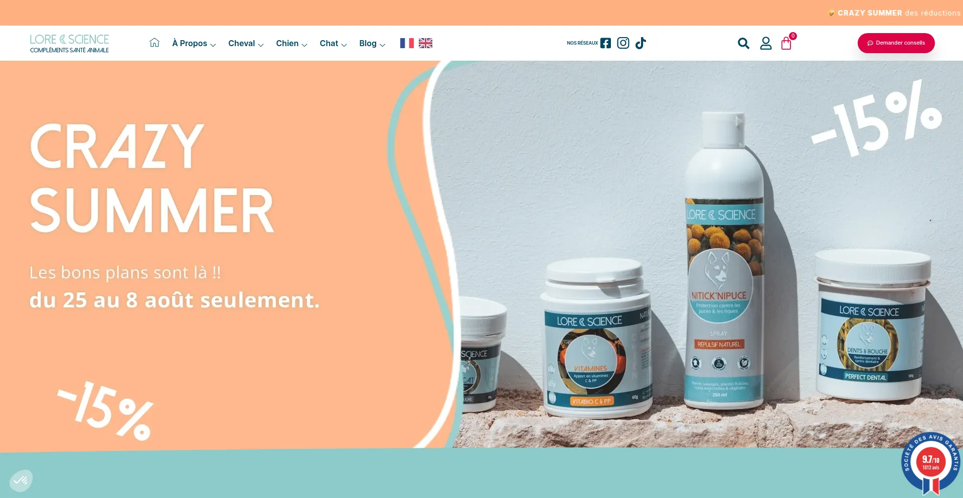 Website screenshot of Loreandscience.fr