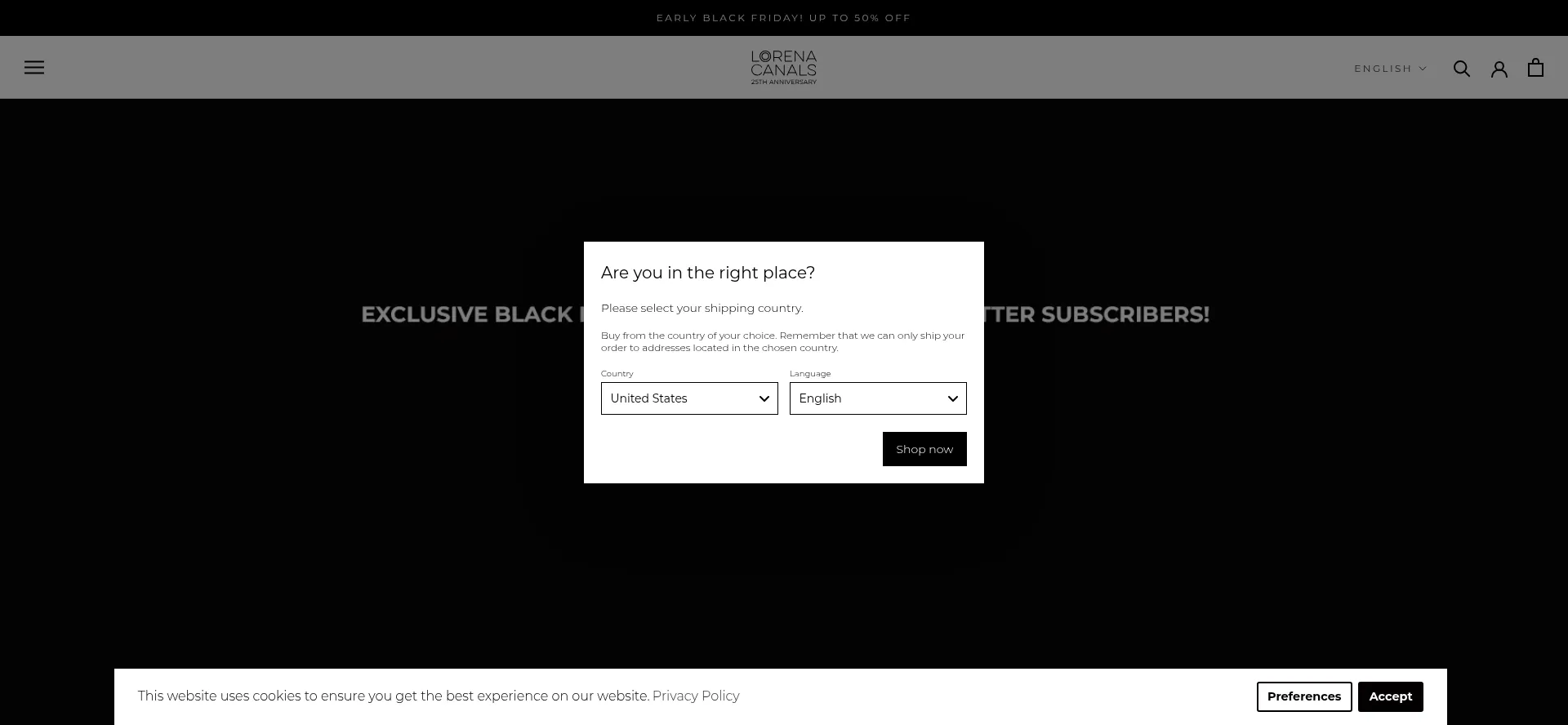 Website screenshot of Lorenacanals.com