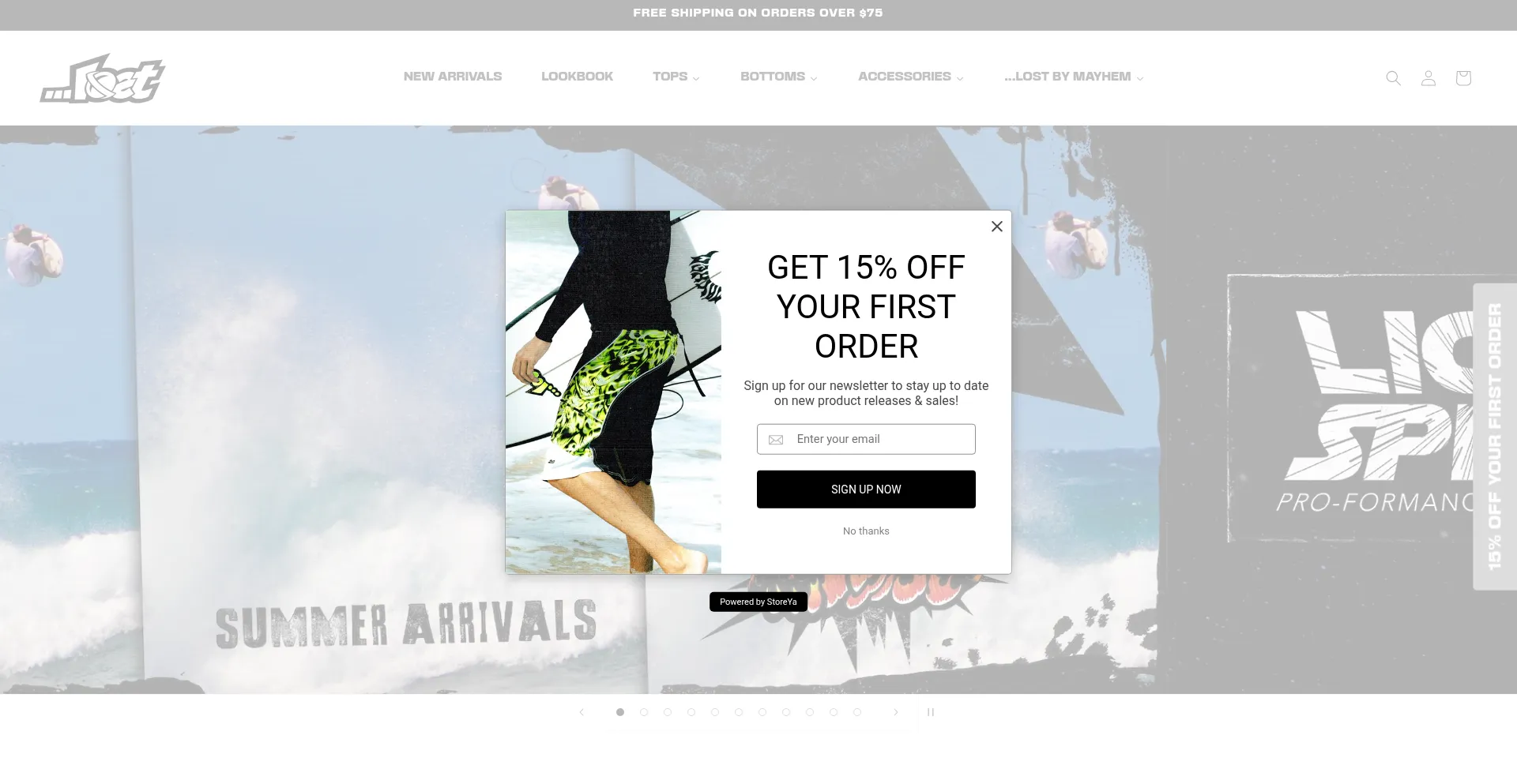 Website screenshot of Lostenterprises.com