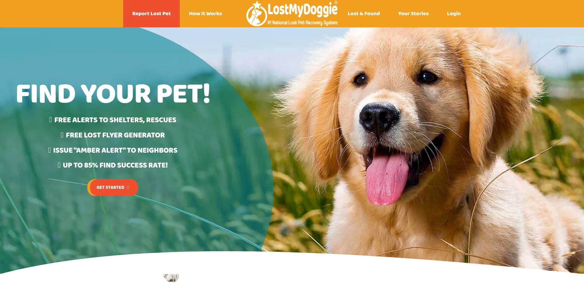 Website screenshot of Lostmydoggie.com
