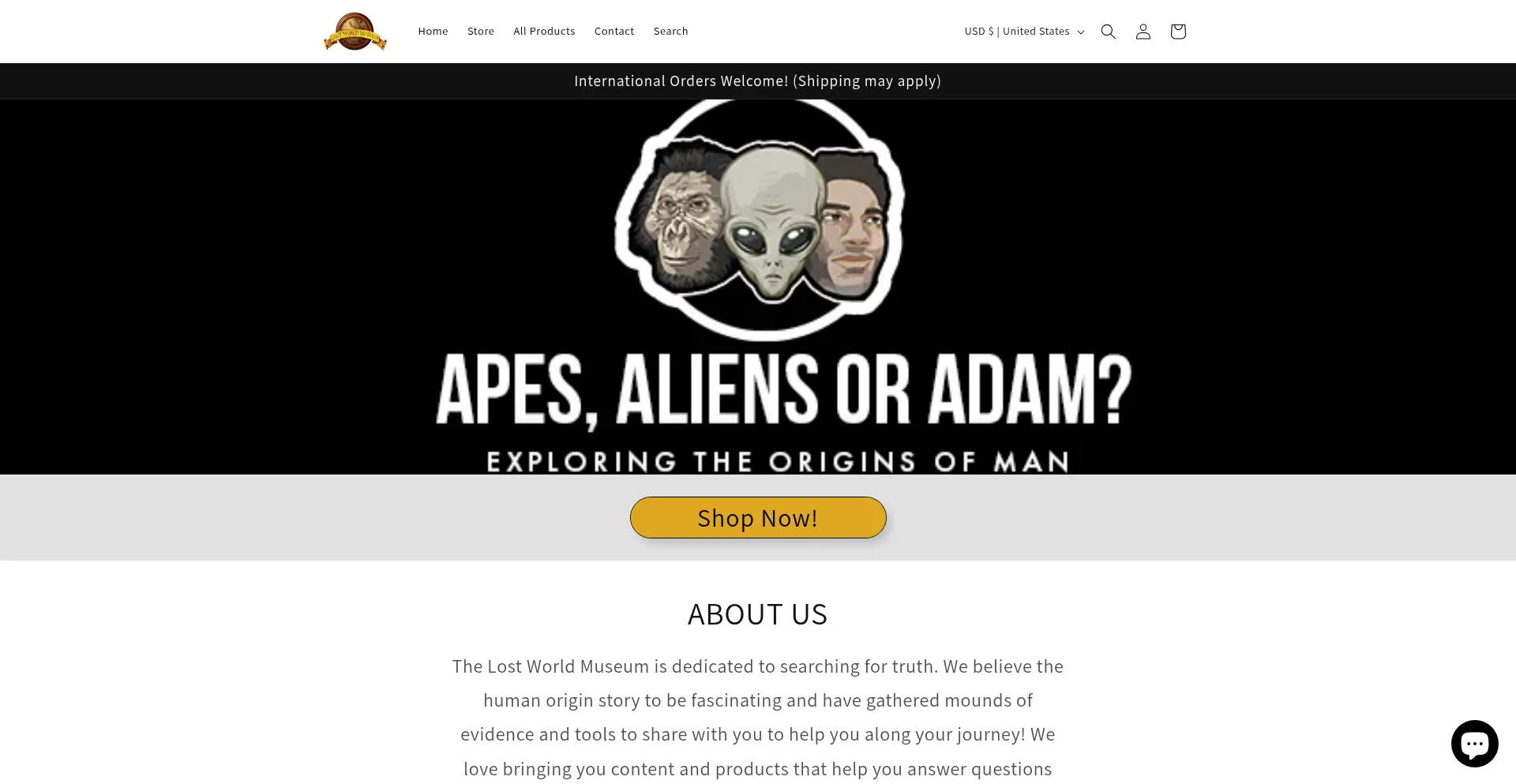 Website screenshot of Lostworldstore.com