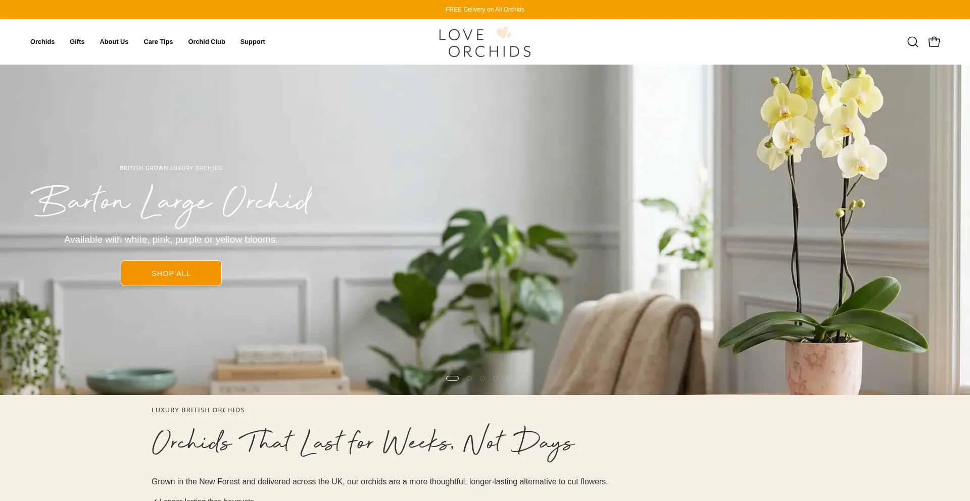 Loveorchids.co.uk