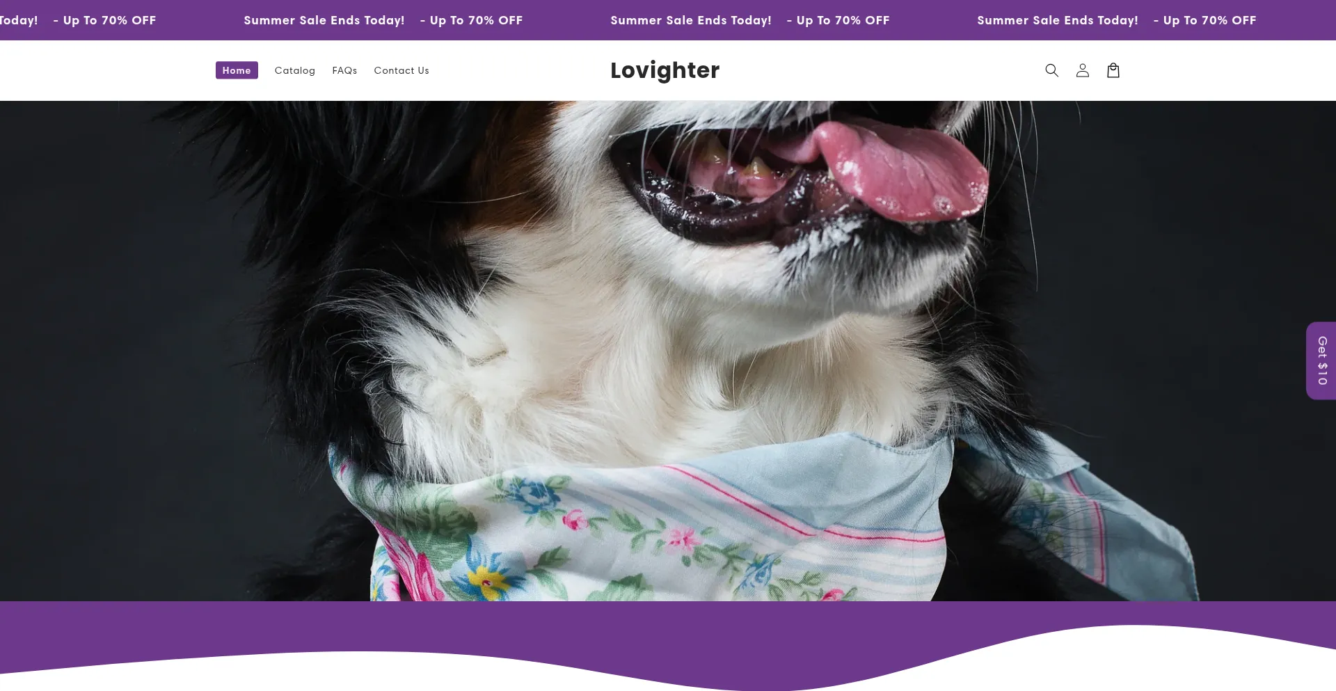 Website screenshot of Lovighter.com