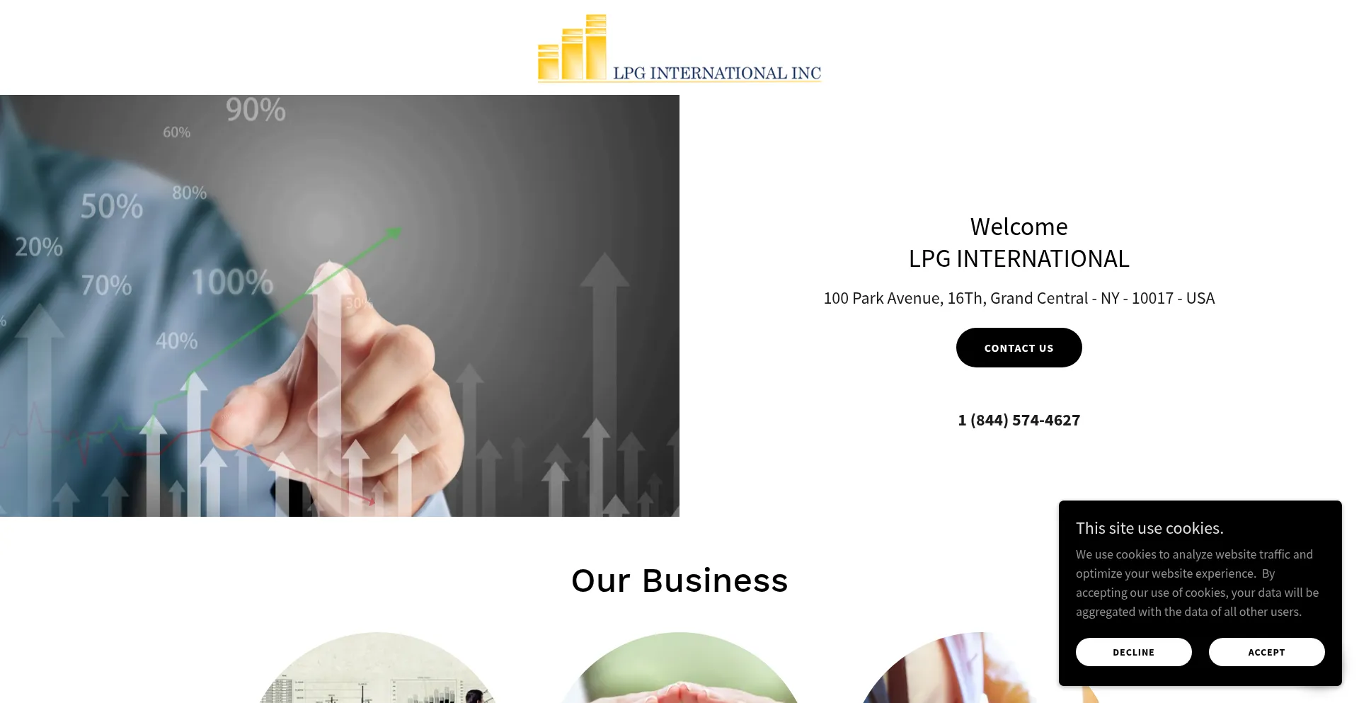 Website screenshot of Lpginternationalinc.com