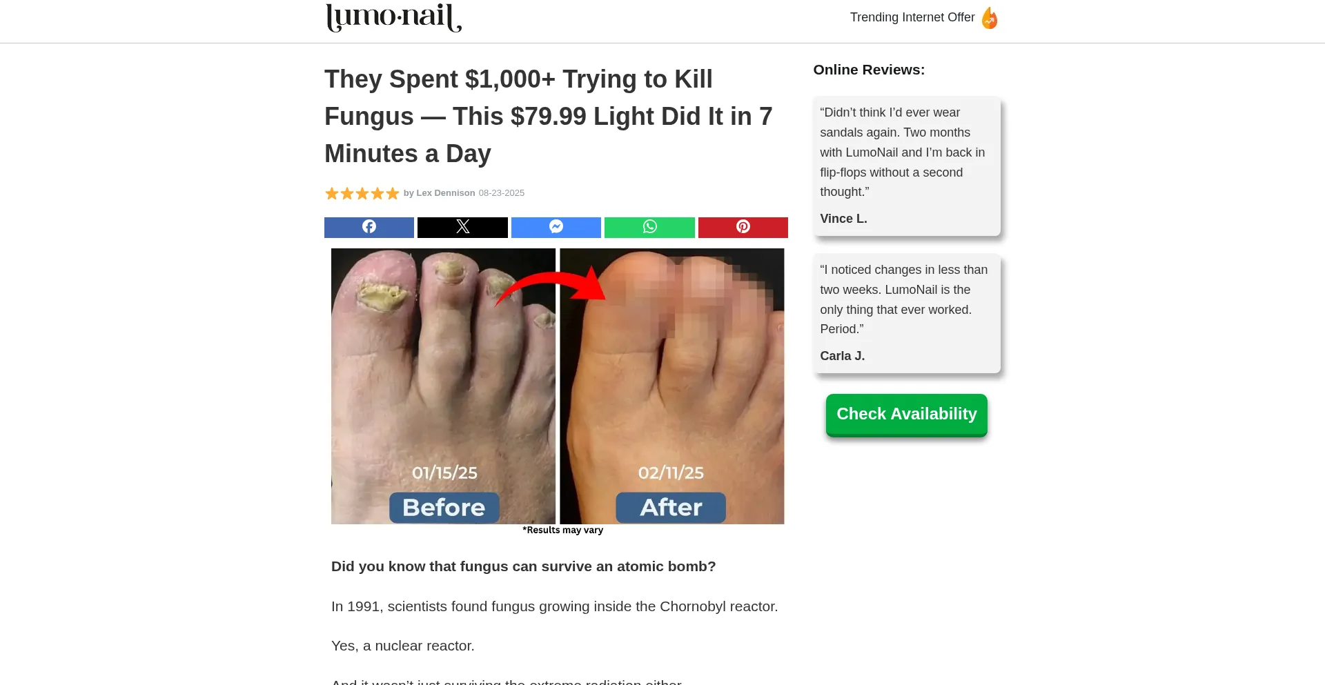 Website screenshot of Lumonail.com