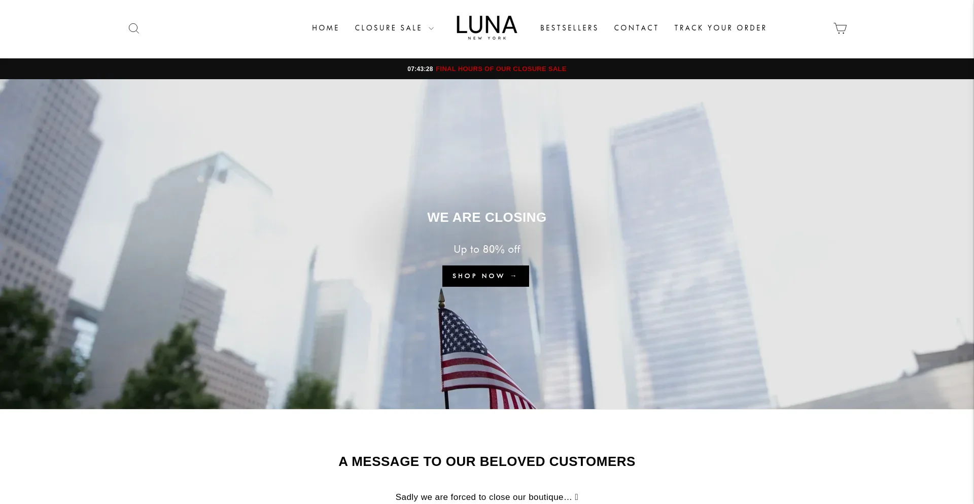 Website screenshot of Luna-newyork.com