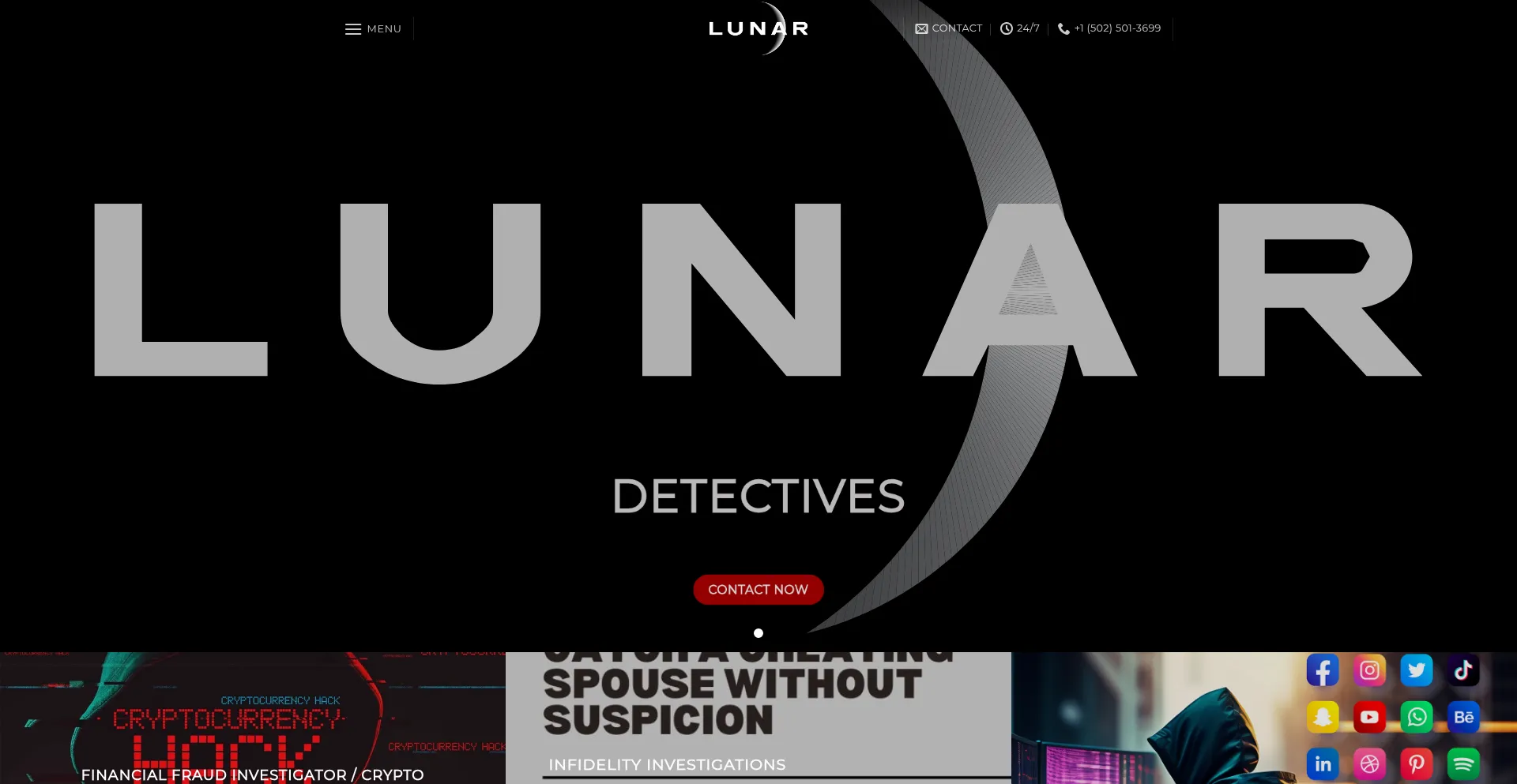 Website screenshot of Lunardetective.com