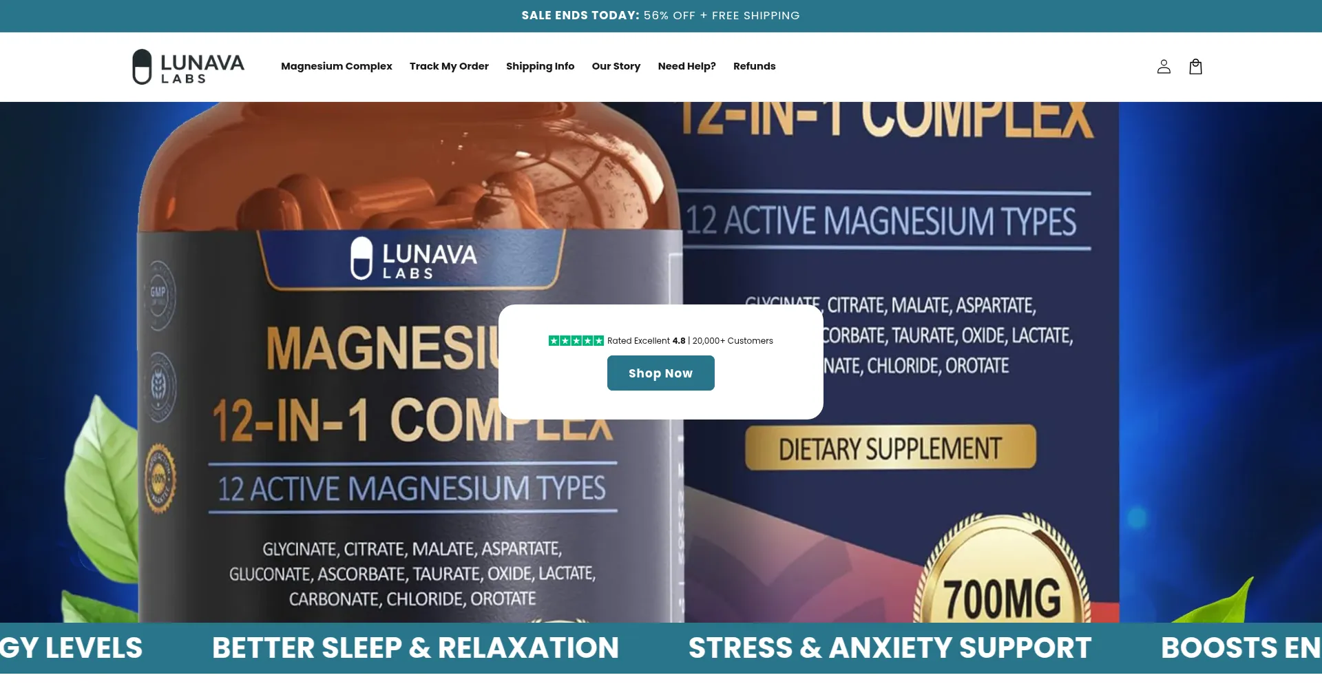 Website screenshot of Lunavalabs.com