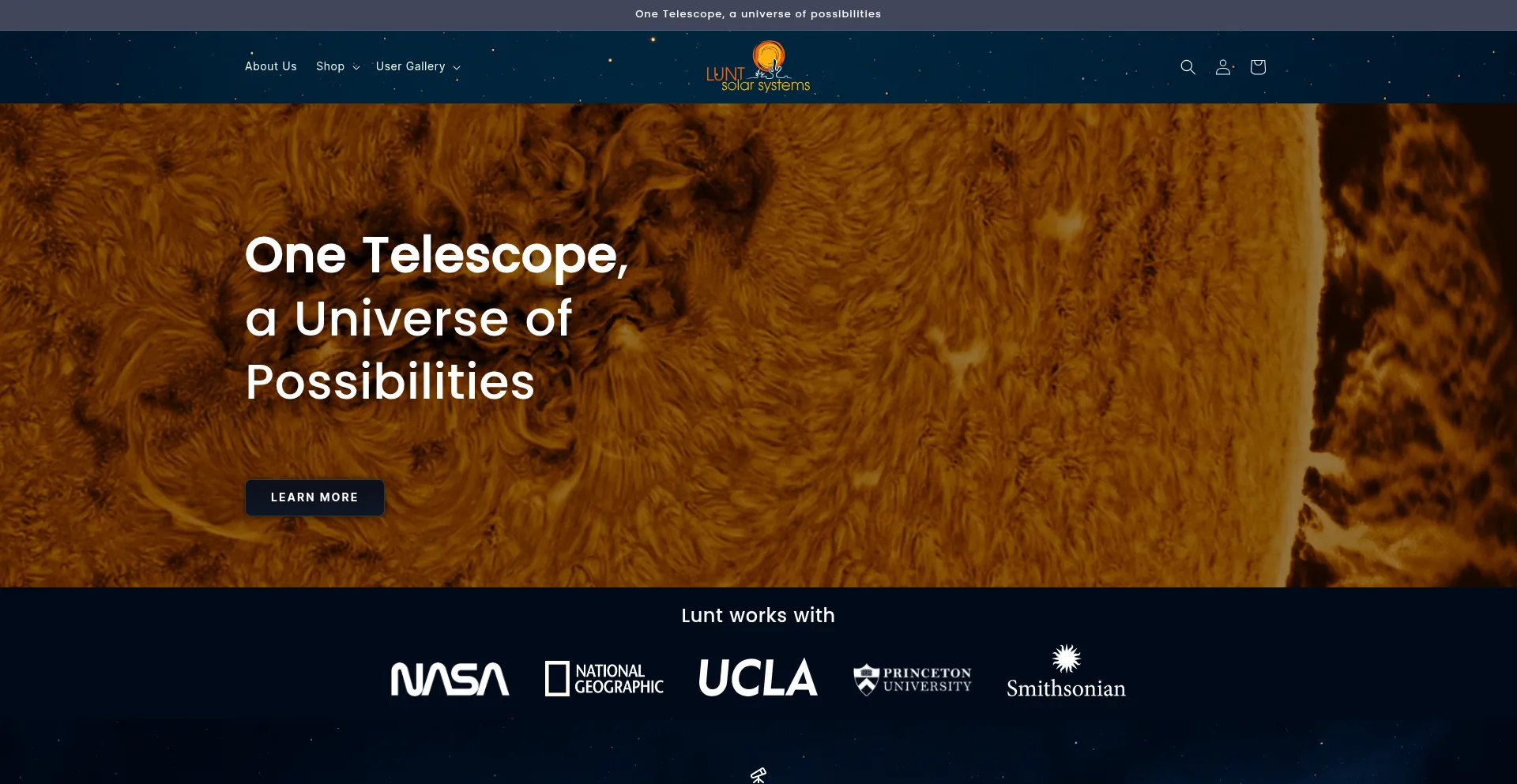 Website screenshot of Luntsolarsystems.com