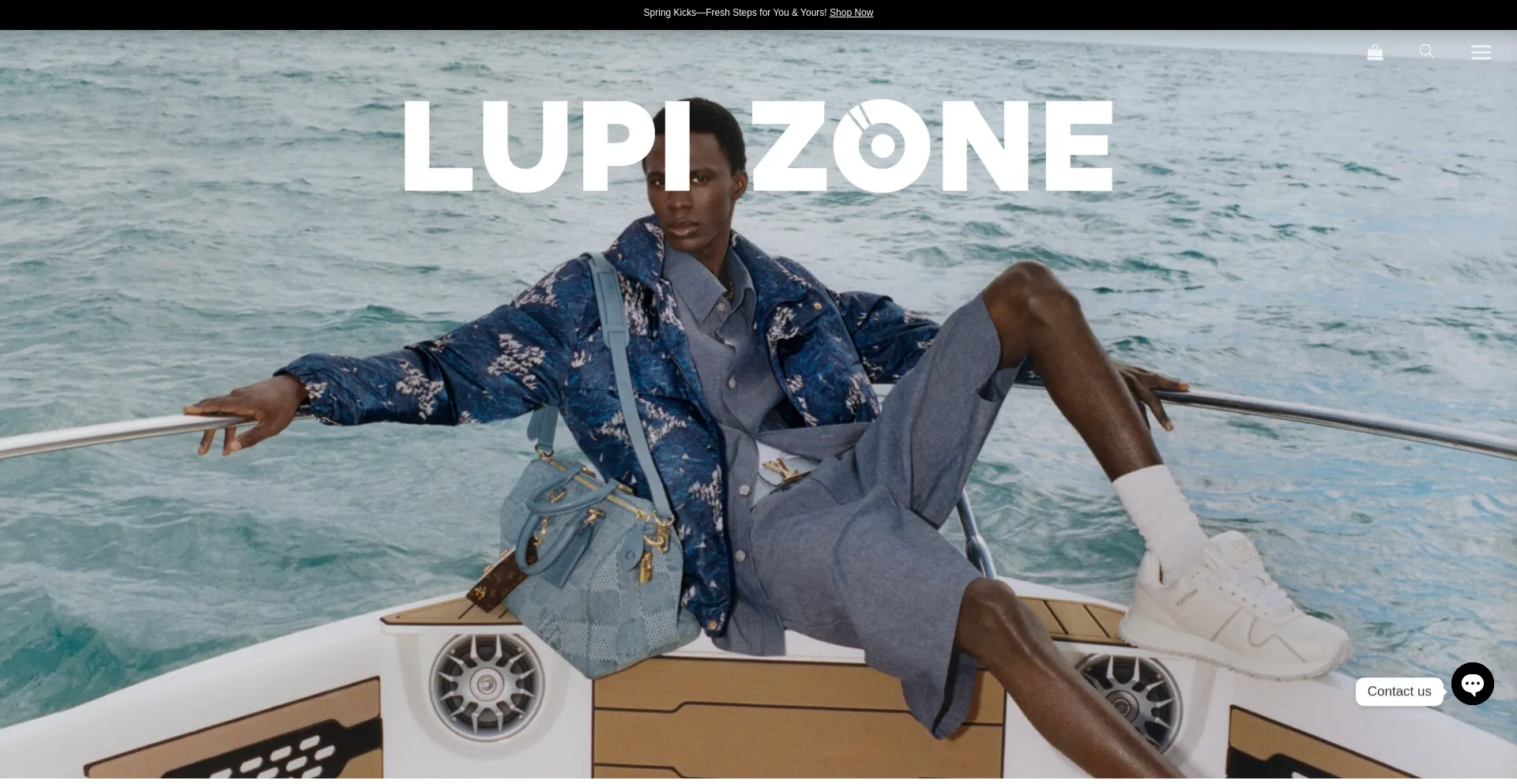 Website screenshot of Lupizone.com
