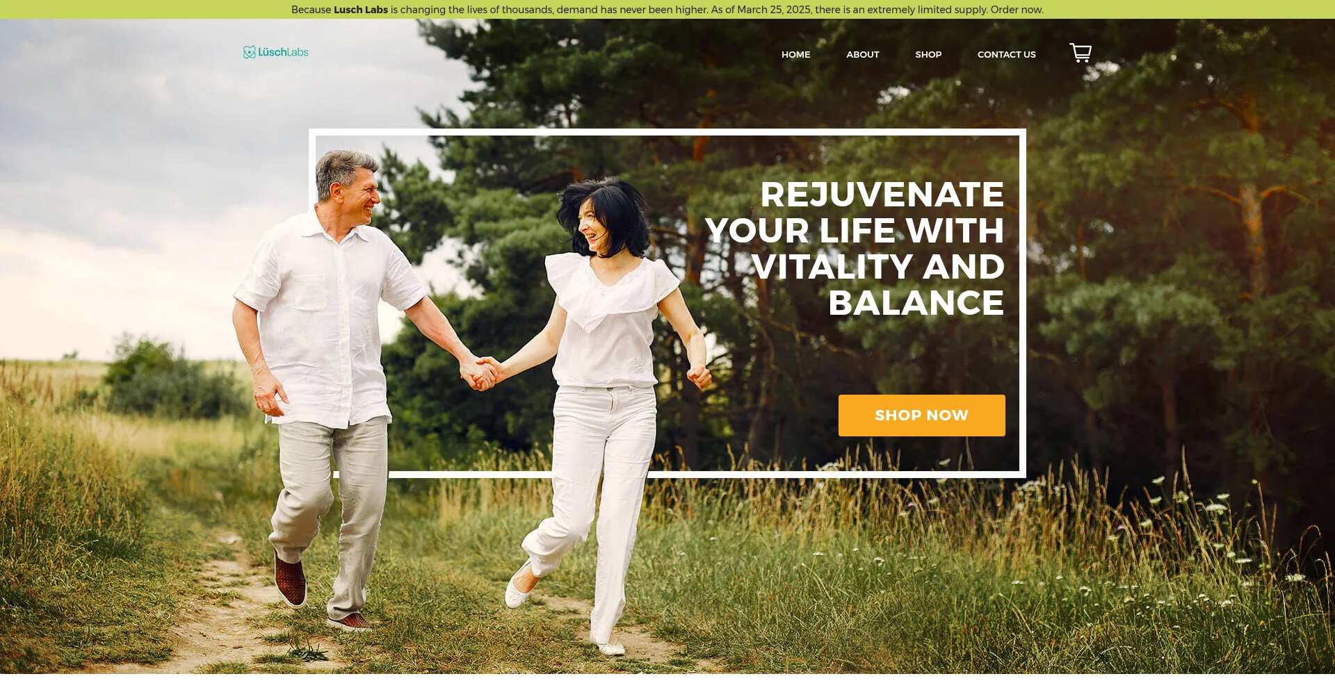 Website screenshot of Luschlabs.com