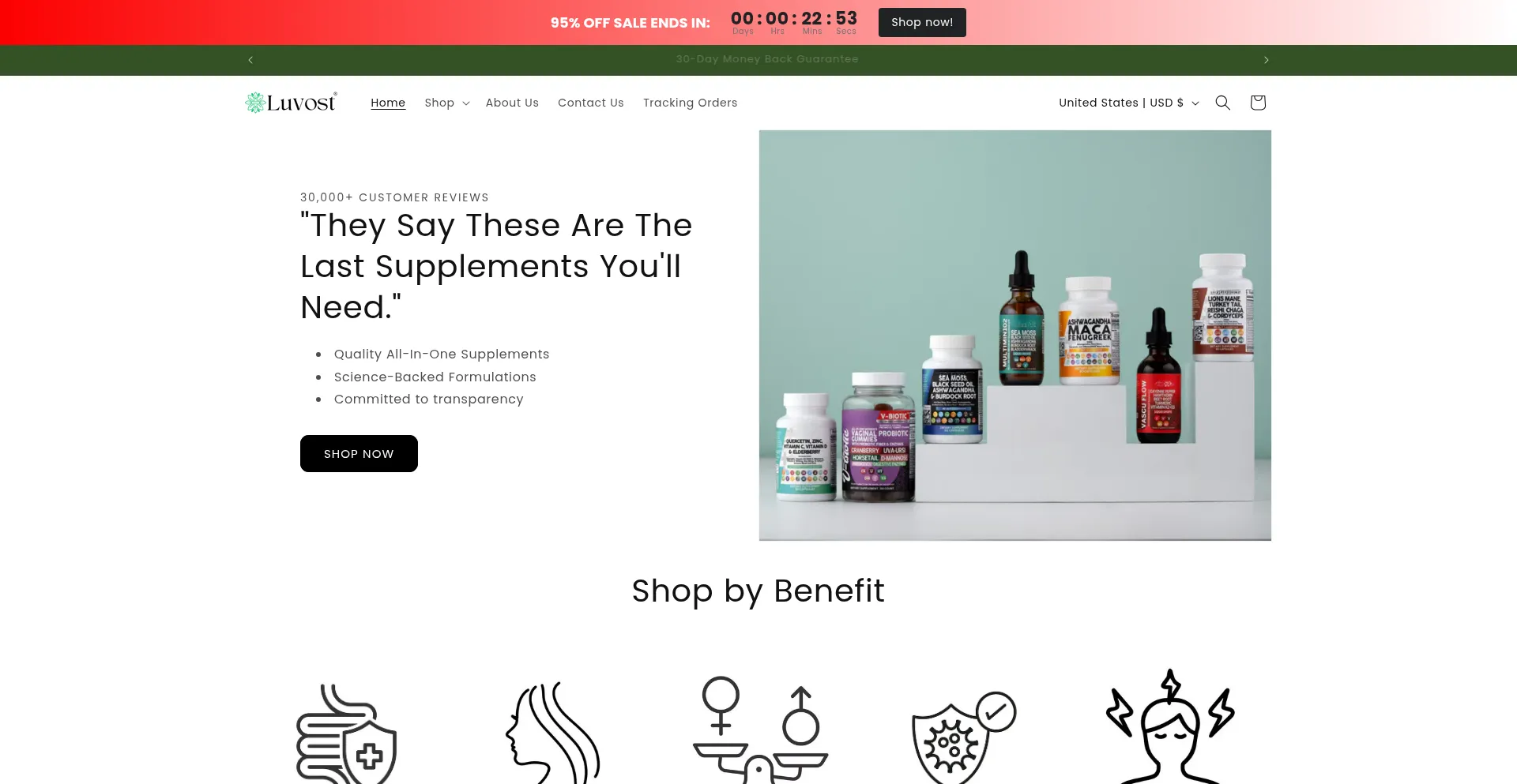 Website screenshot of Luvost.com