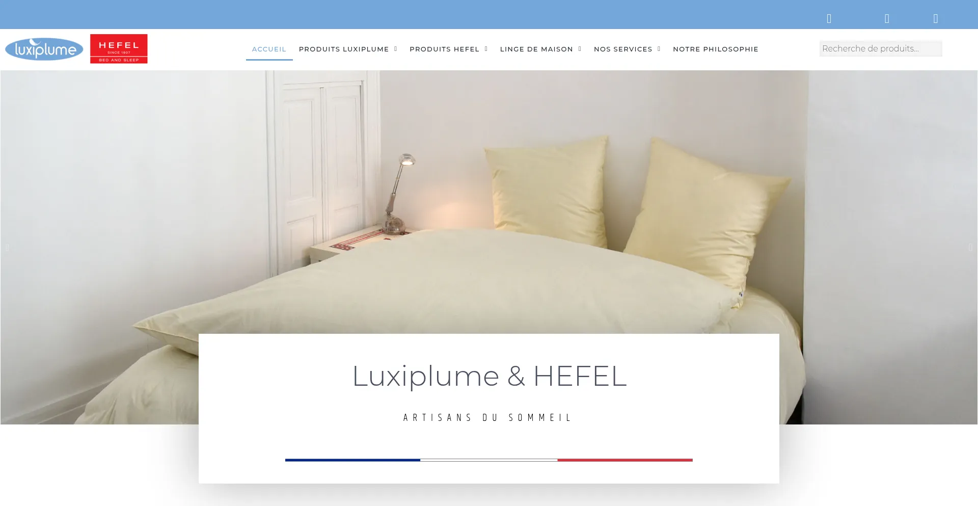 Website screenshot of Luxiplume.fr