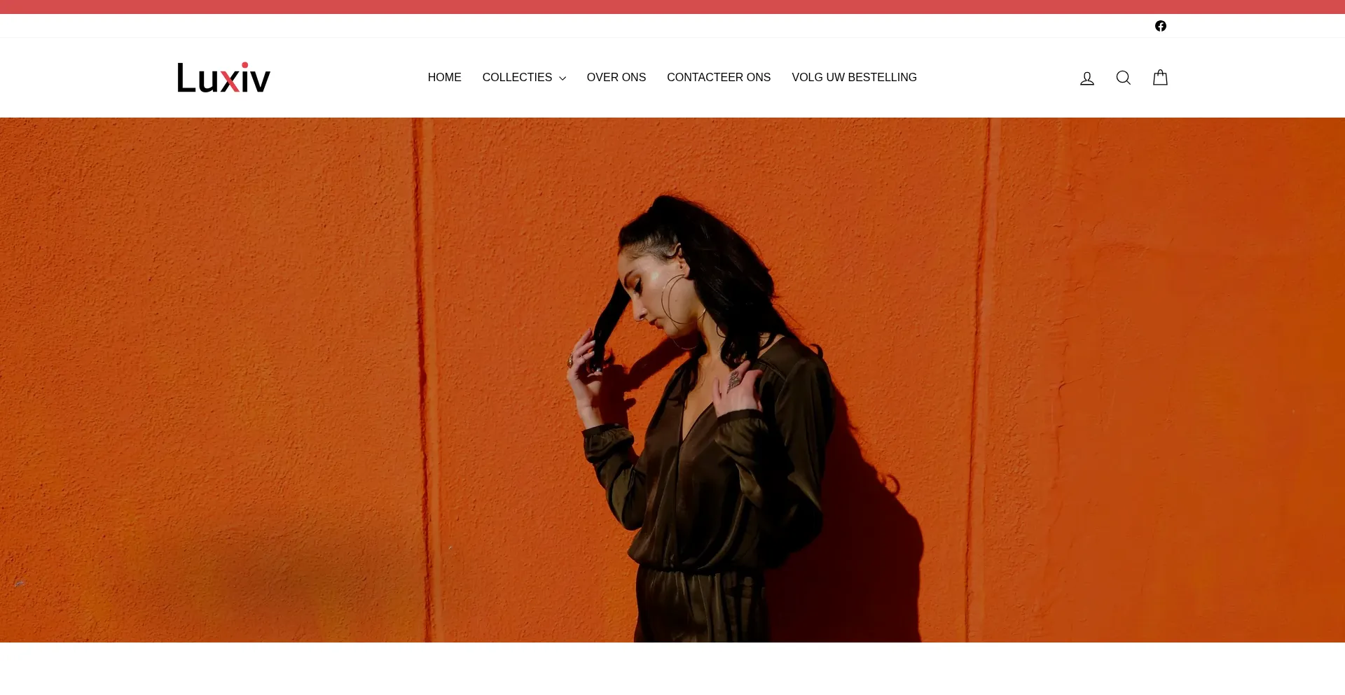 Website screenshot of Luxiv.nl