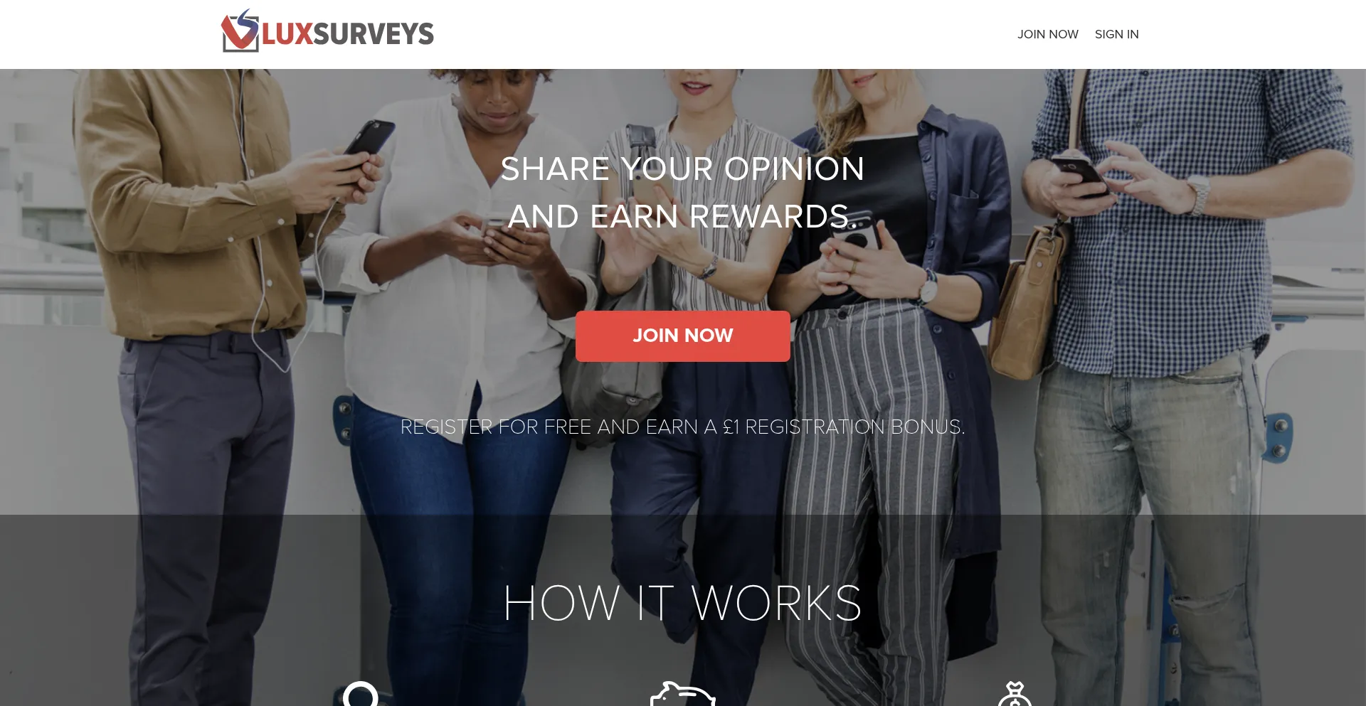 Website screenshot of Luxsurveys.com
