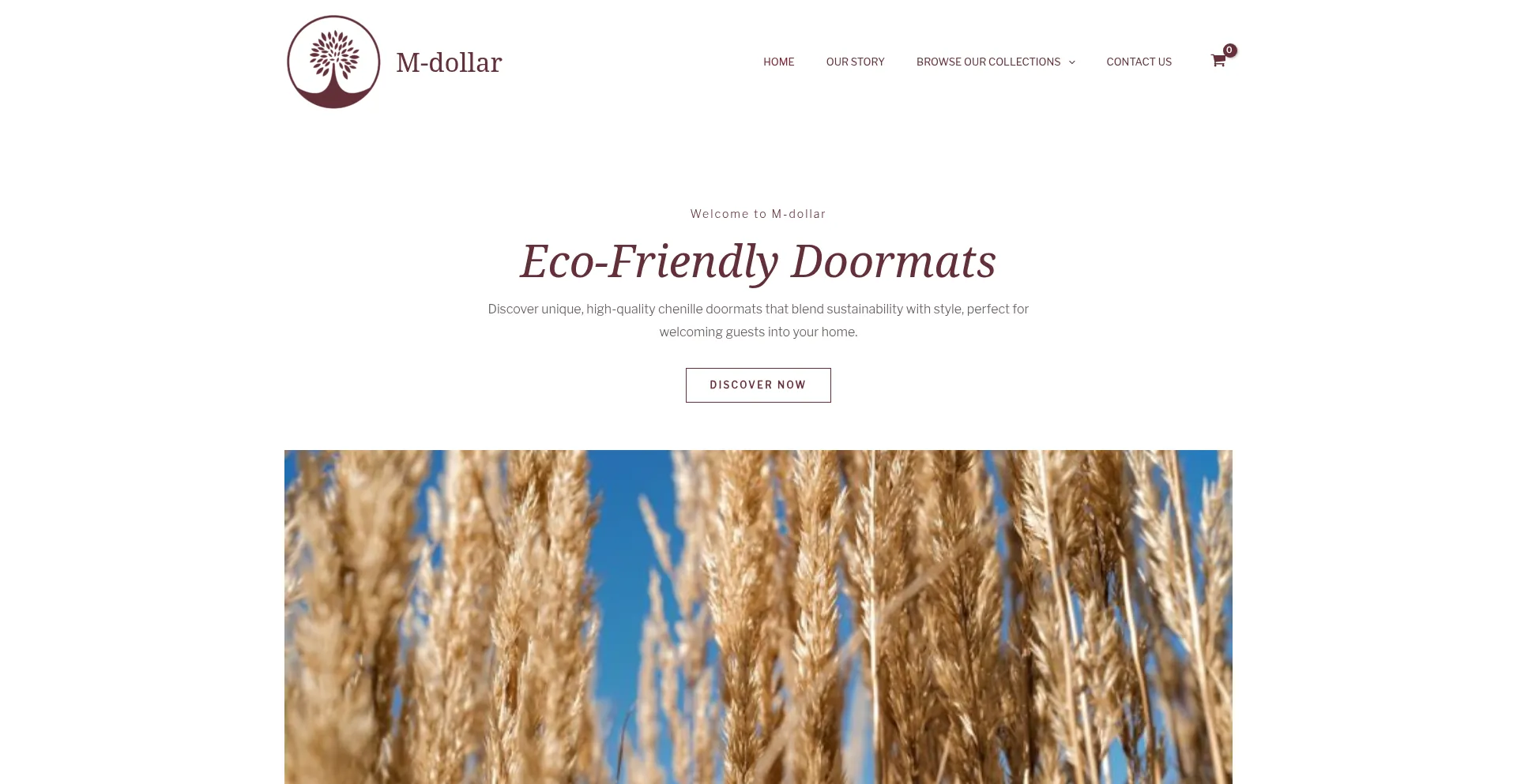 Website screenshot of M-dollar.com