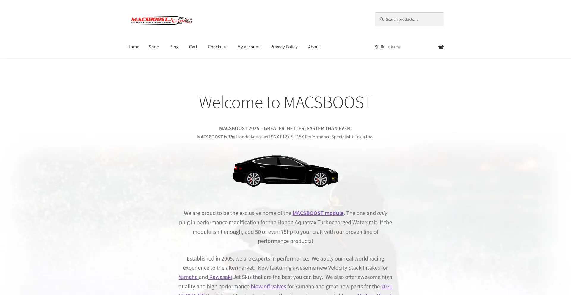 Website screenshot of Macsboost.com