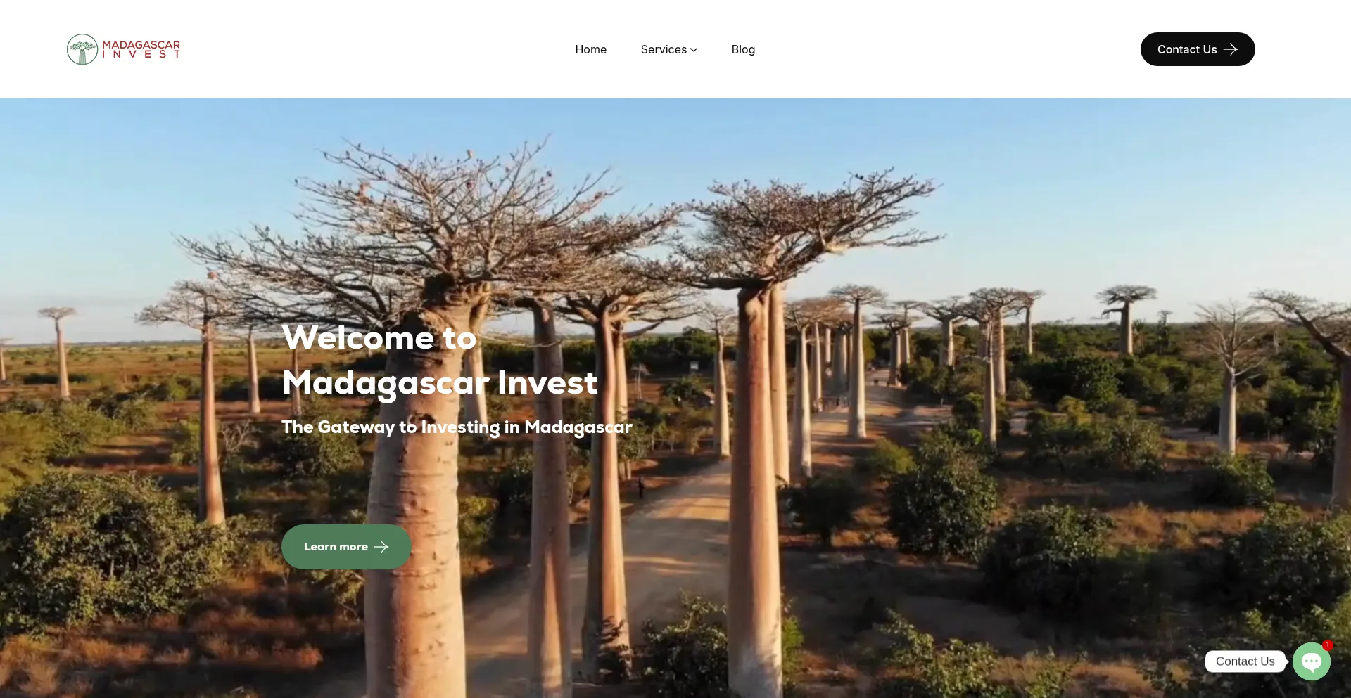 Website screenshot of Madagascarinvest.com