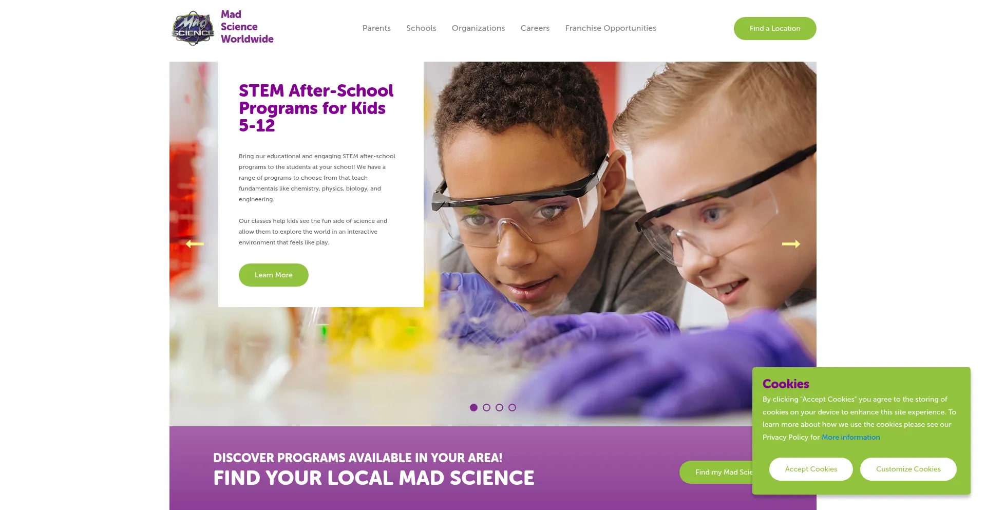 Website screenshot of Madscience.org