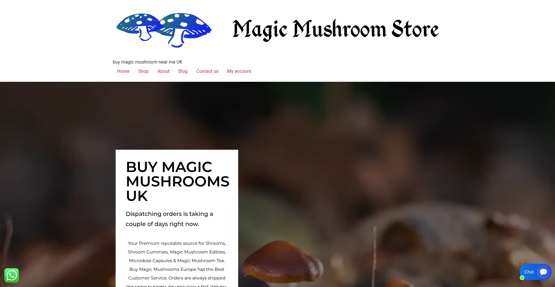 Magicmushroomery.com