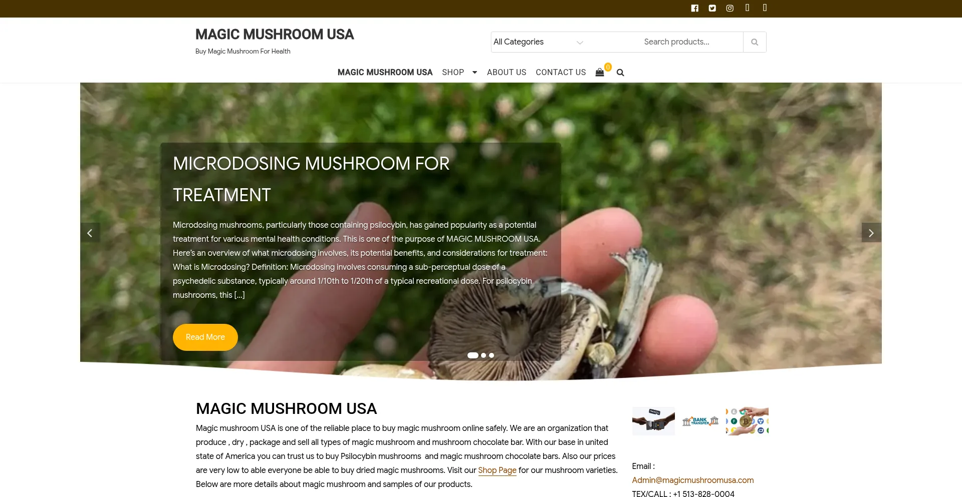 Magicmushroomusa.com
