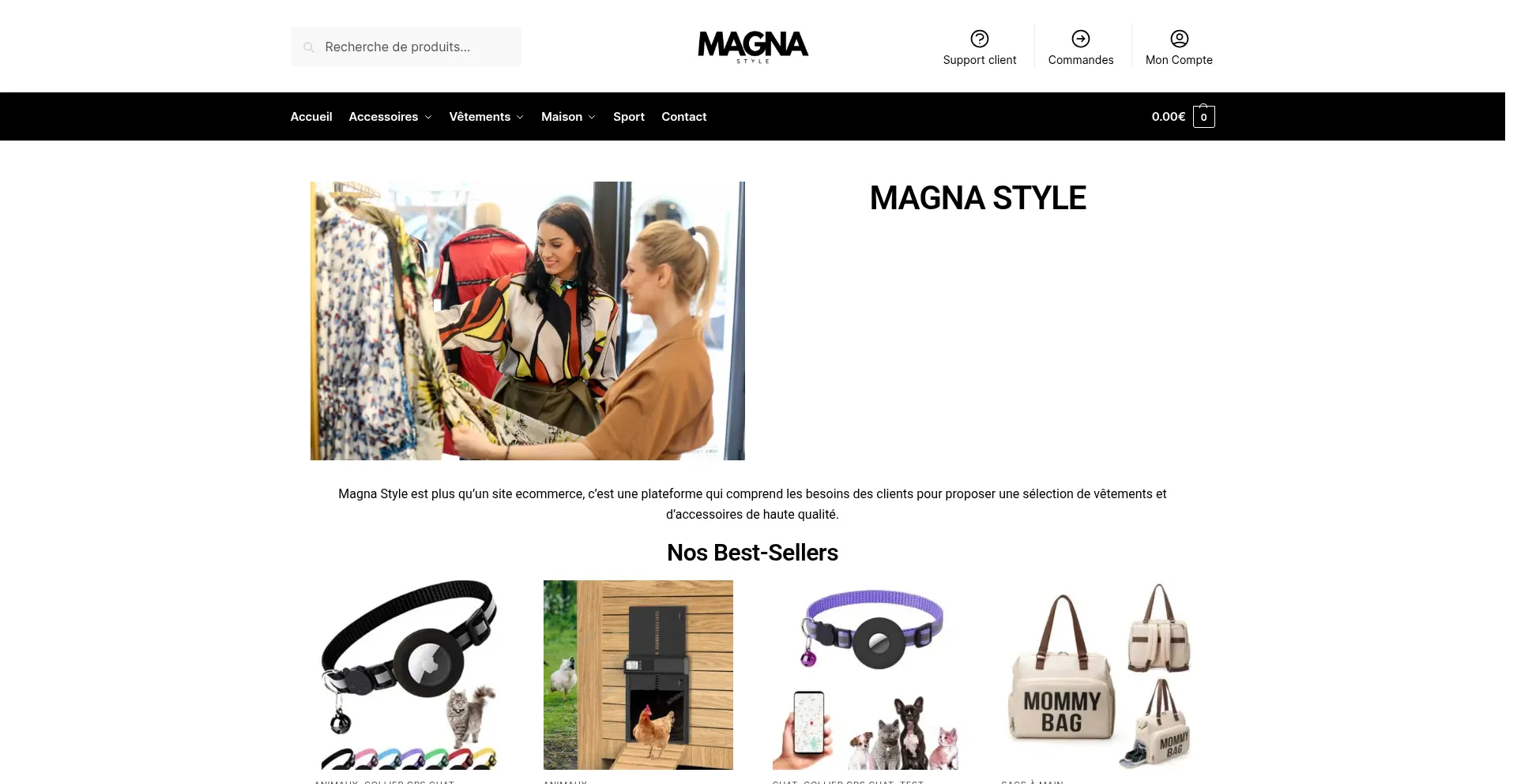 Website screenshot of Magna-style.com