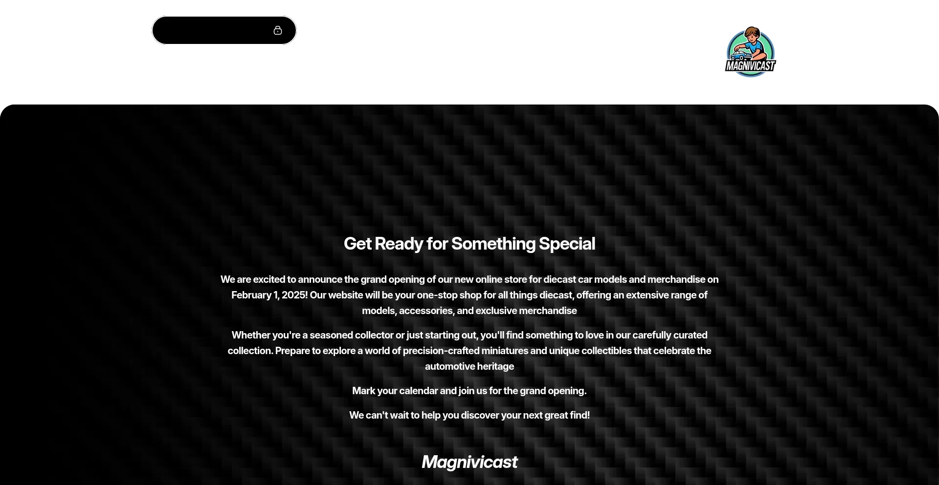 Website screenshot of Magnivicast.com