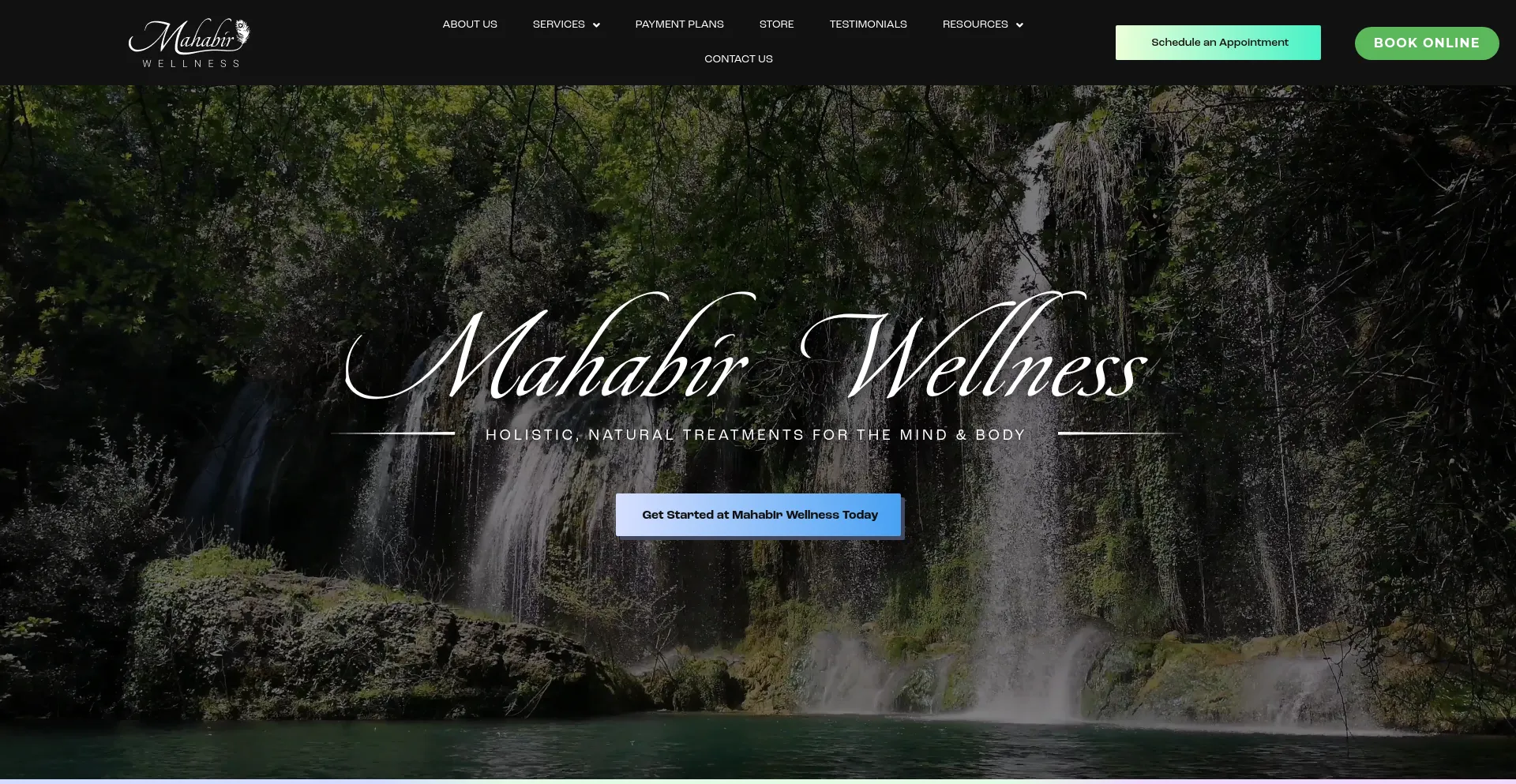Mahabirwellness.com