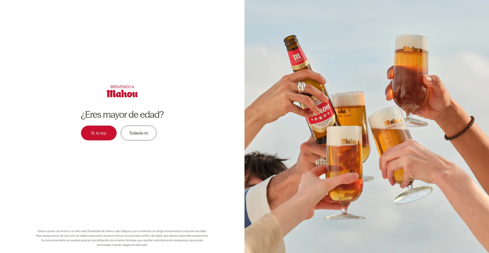 Website screenshot of Mahou.es